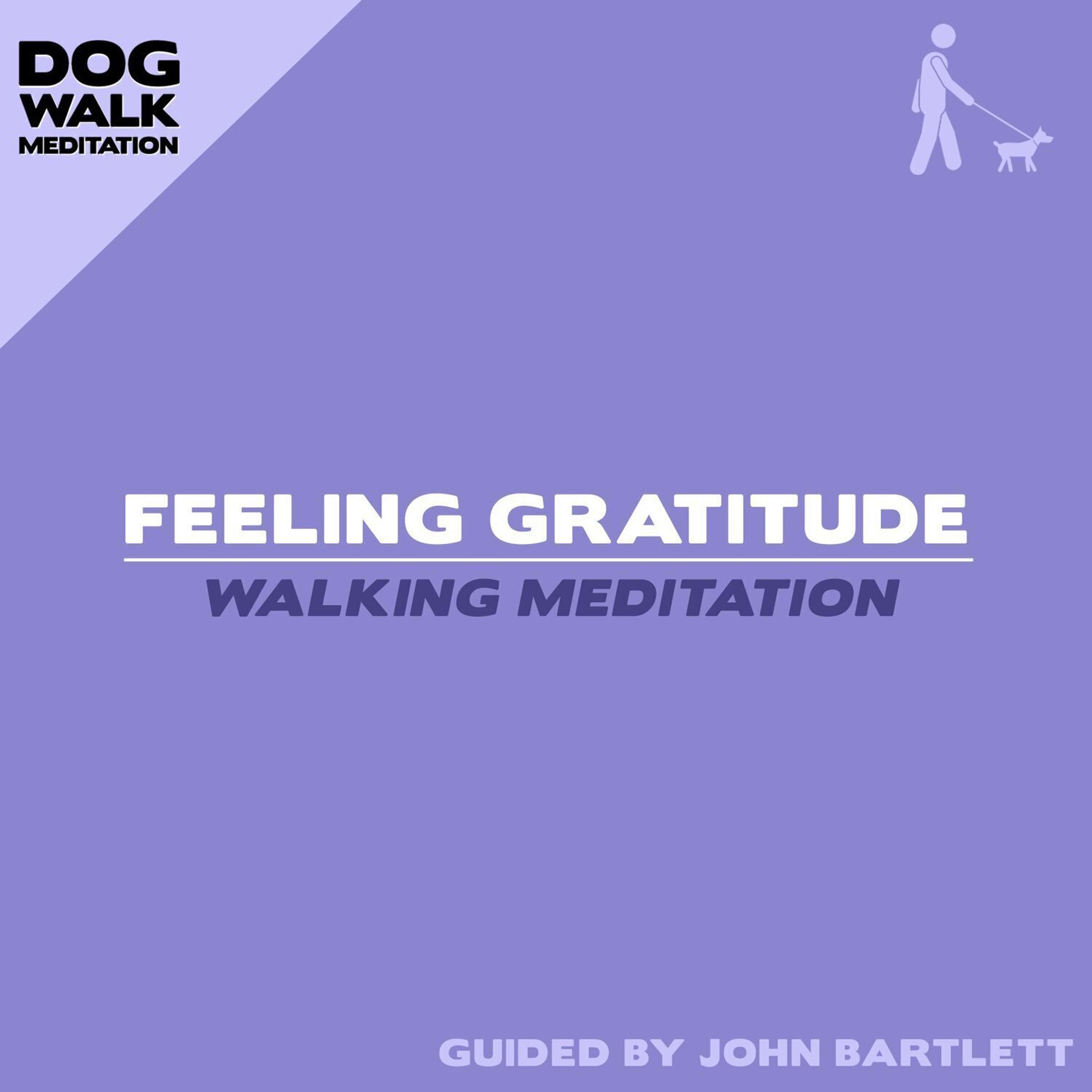 Feeling Gratitude (Walking Meditation)