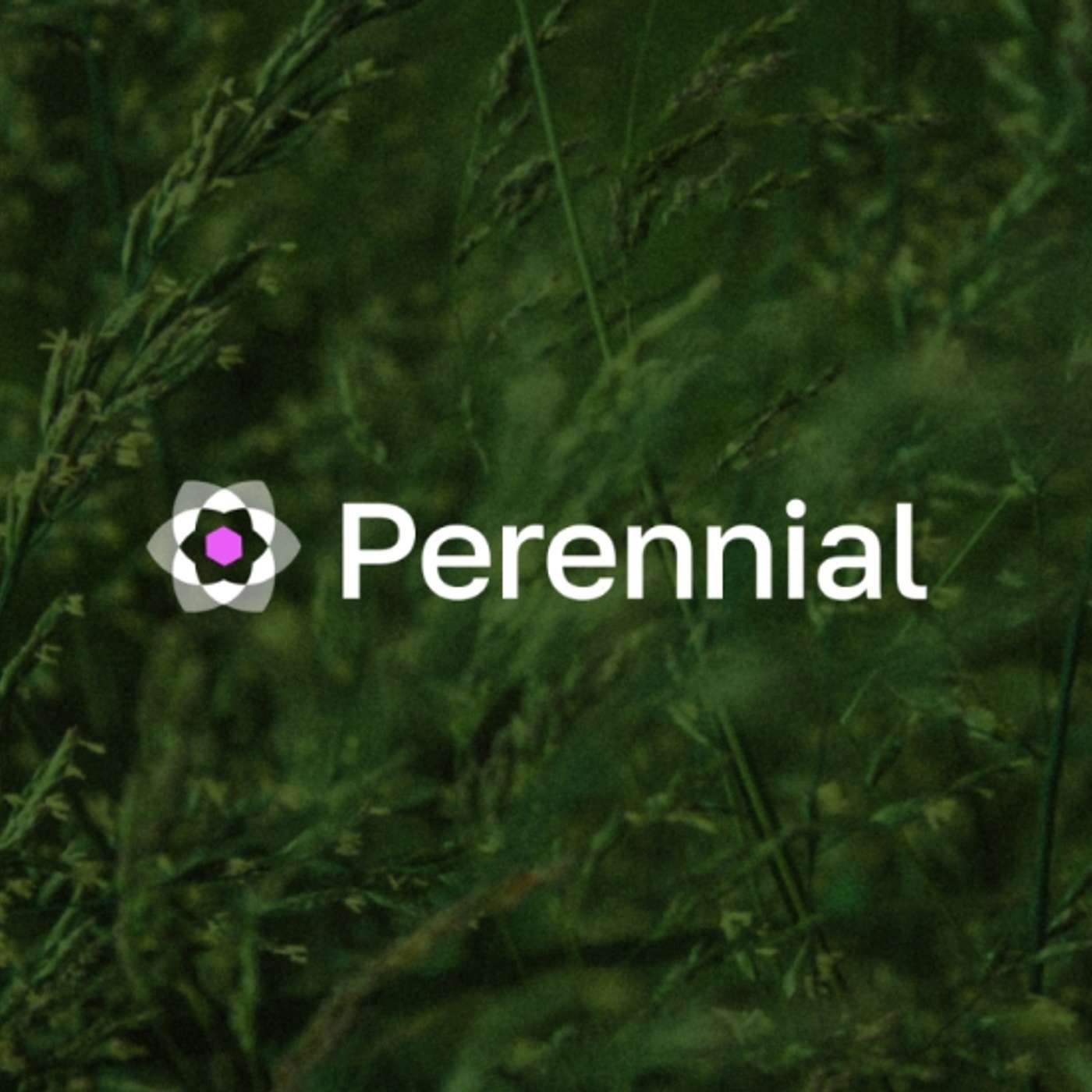 Perennial Unveils a Novel Intent Layer For Perpetuals - Solving DeFi’s Fragmented Liquidity Problem