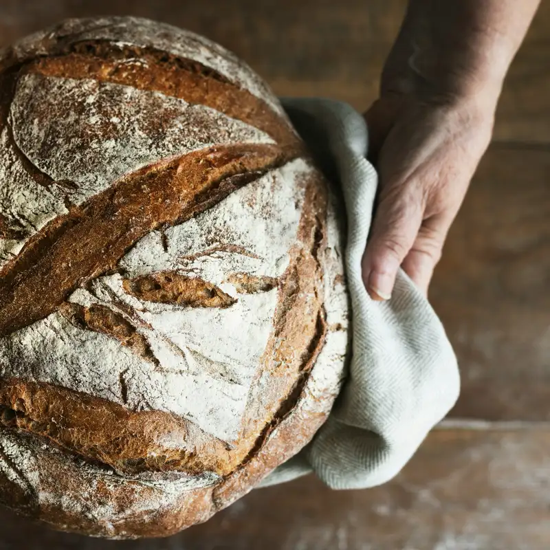 TFL BLOG | Pentecost and Feast of Weeks
