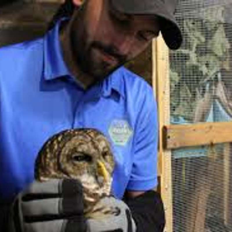 Brandon Sanders, Sanders Wildlife