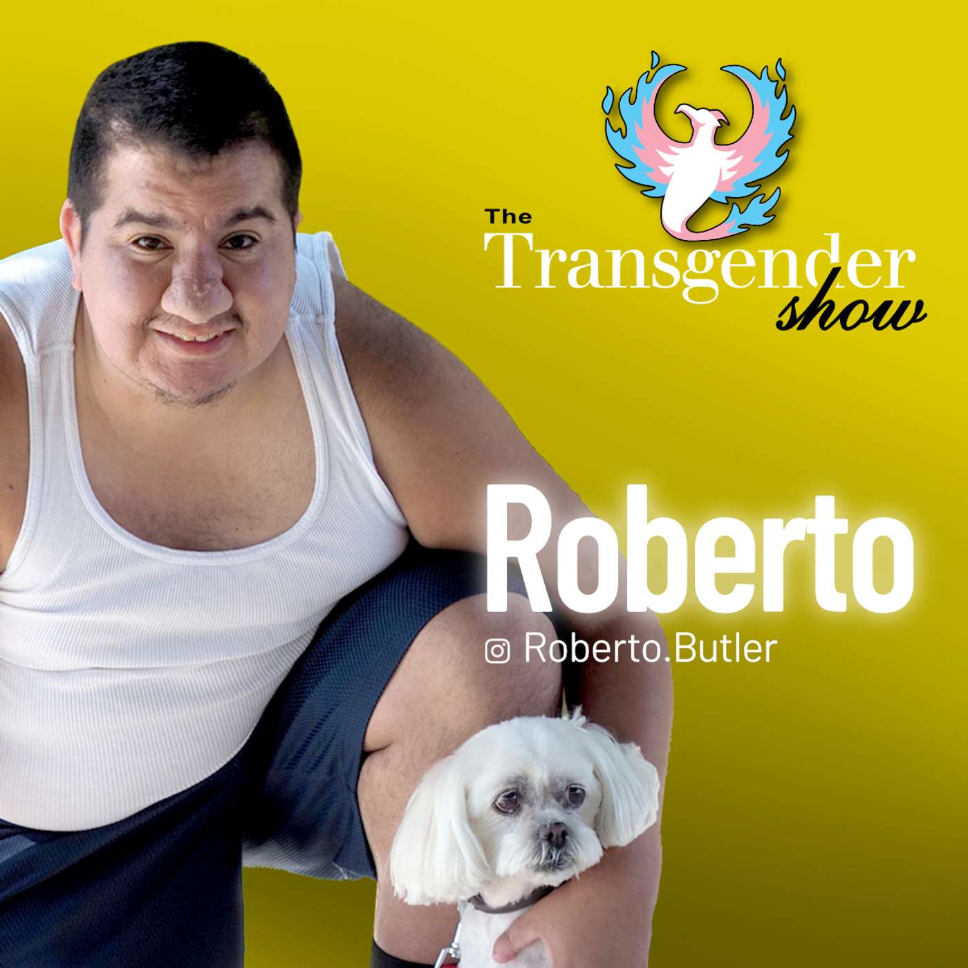 The Transgender Show