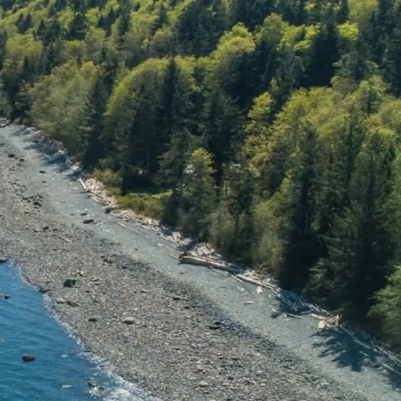 Land gifts and purchases expand Comox Valley parks