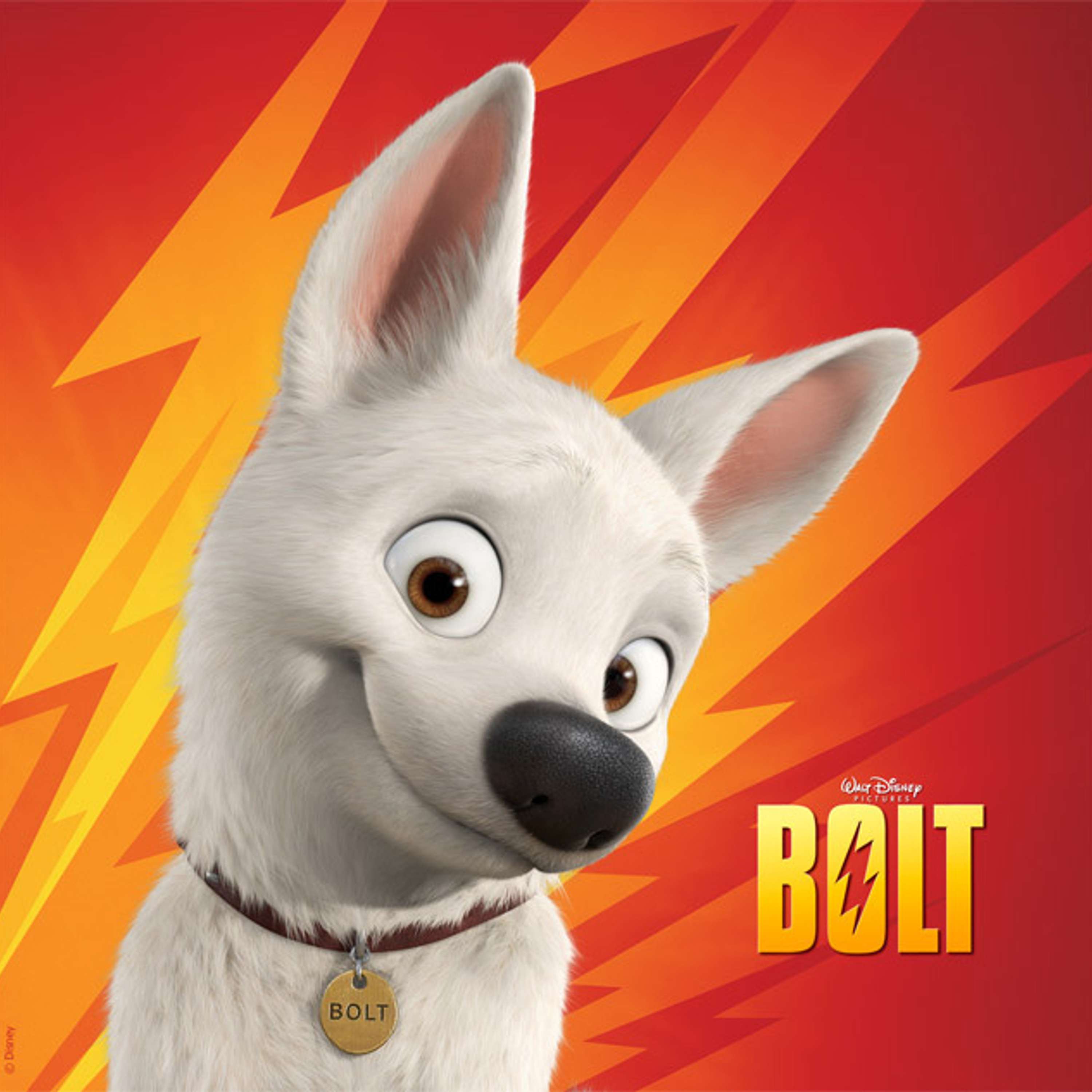 Bolt