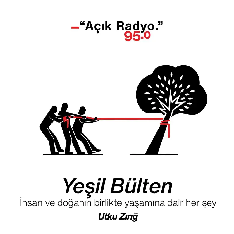 Yeşil Bülten 