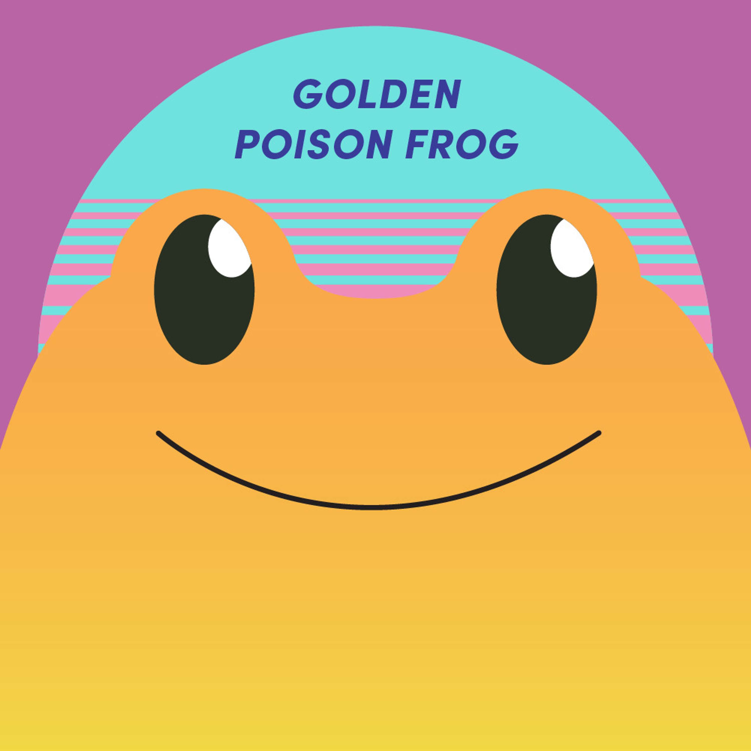 Golden Poison Dart Frog | Week of Dartch 28th