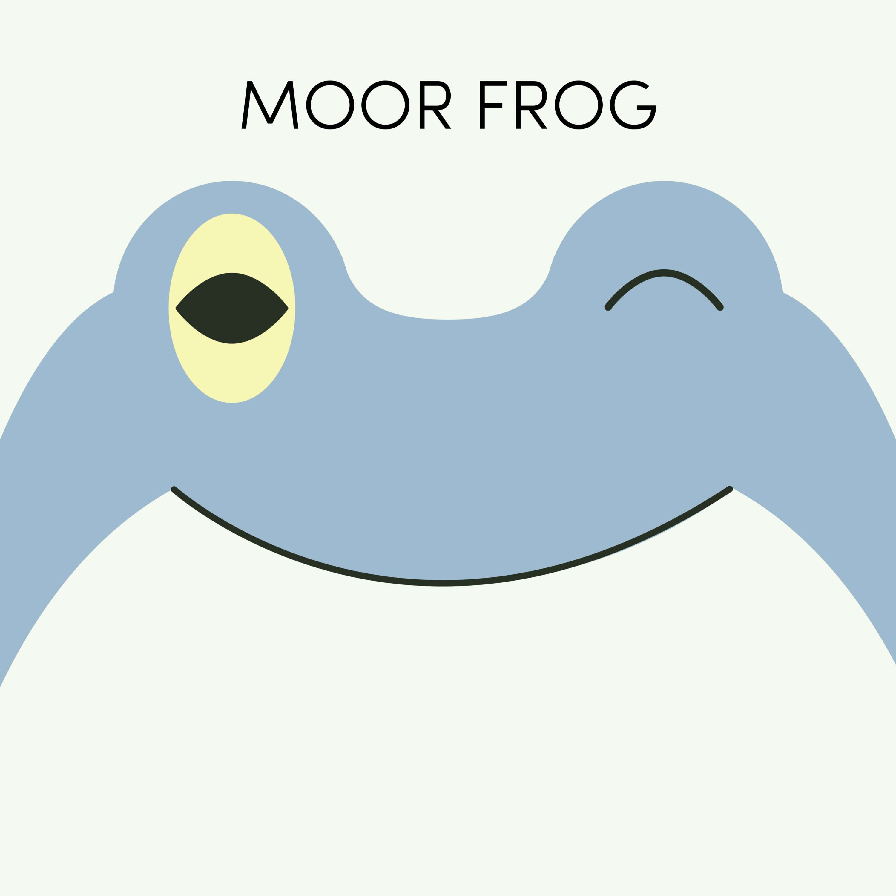 Moor Frog | Week of July 19th