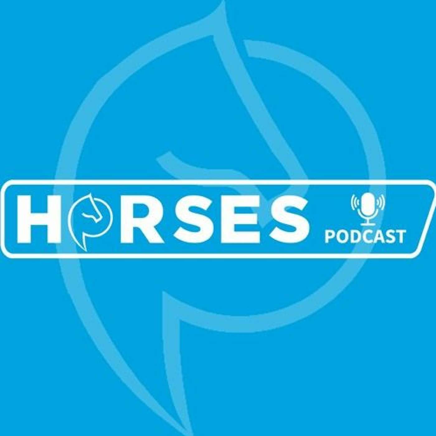 De week van Horses - Friese hengstenkeuring, NRPS en BWP