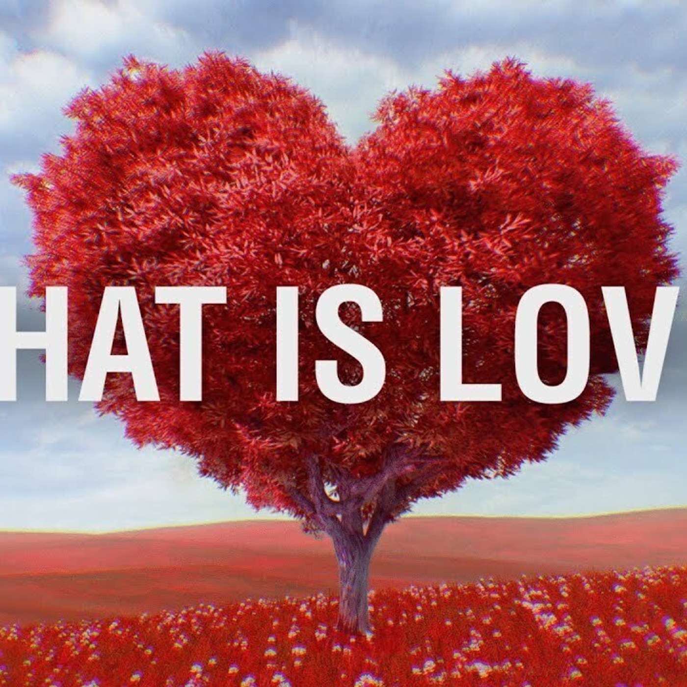 Defining Love: What is Love?