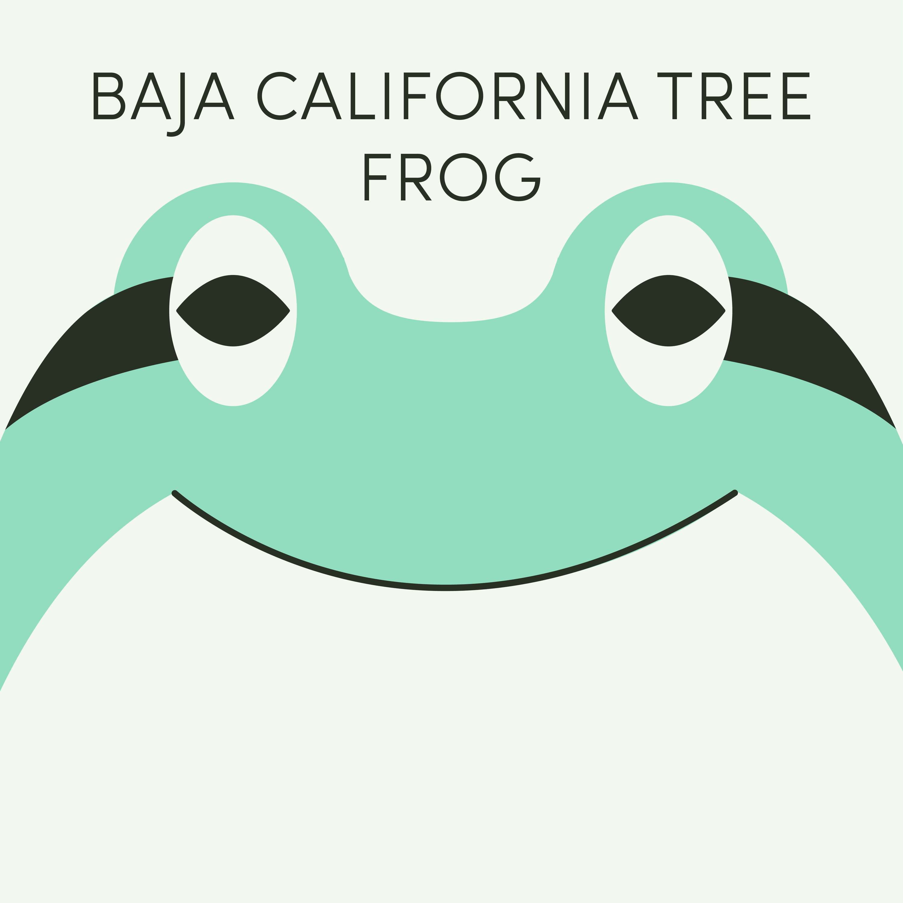 Baja California Tree Frog | Week of July 25th