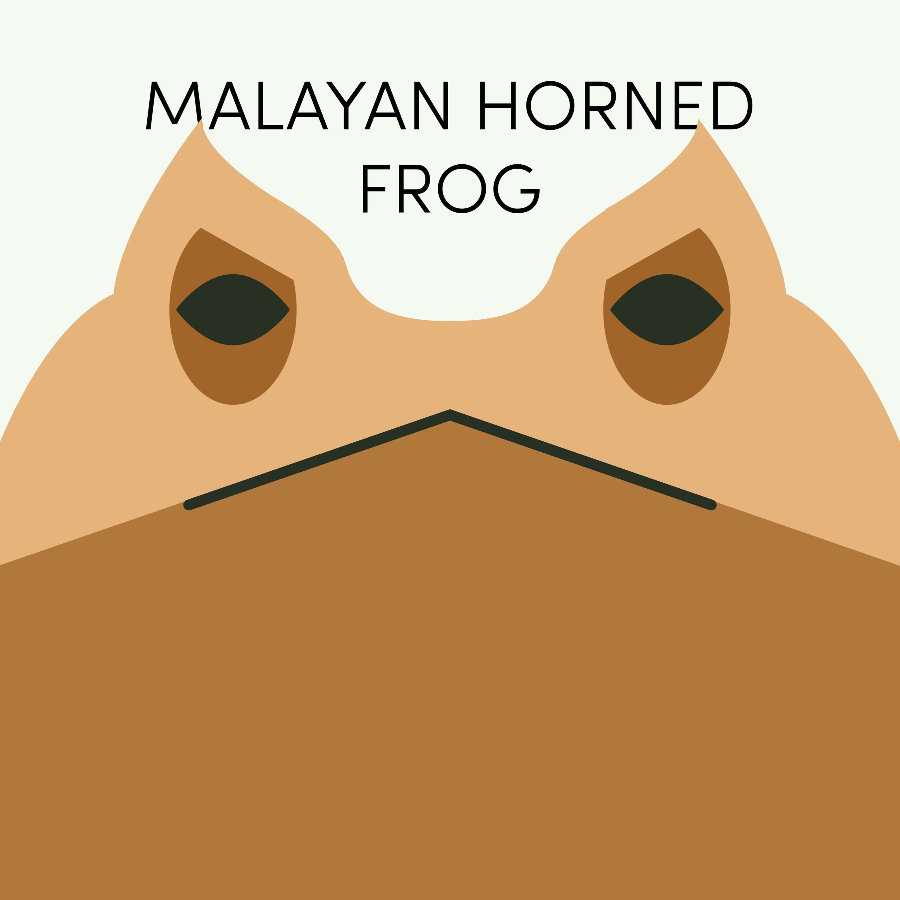 Malayan Horned Frog | Week of July 26th