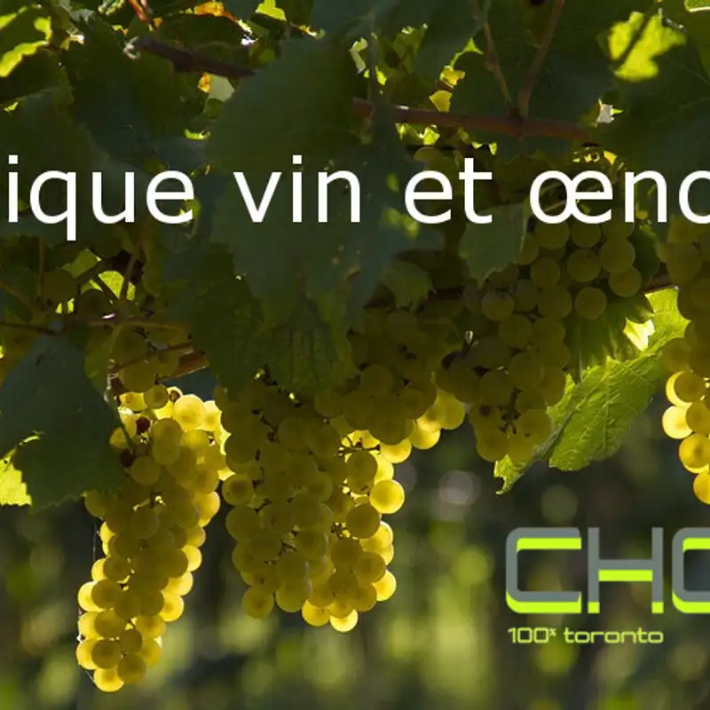 Voyage en Espagne avec la chronique œnologie de Jacques Paradis