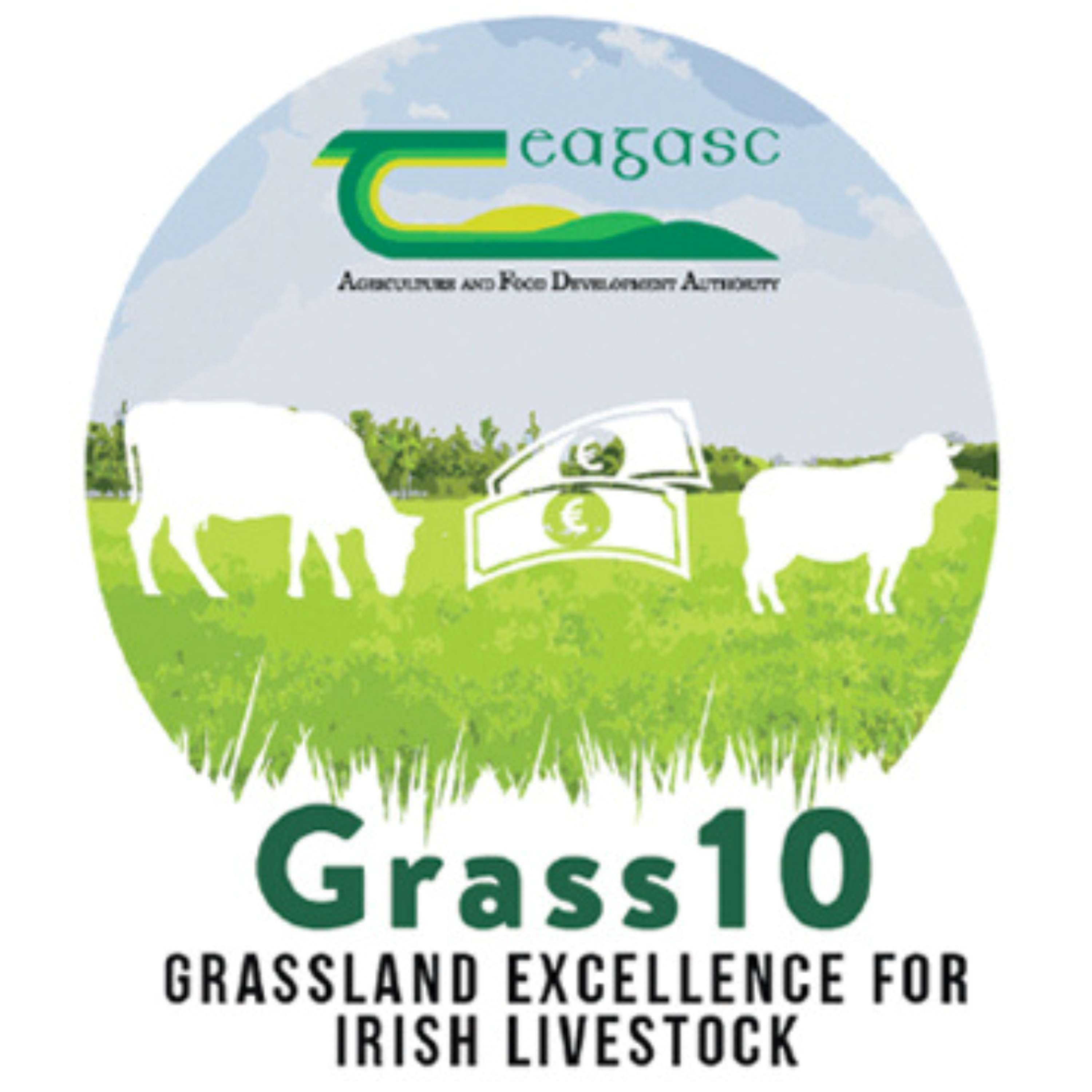 The Grass10 Grazing Year in Review