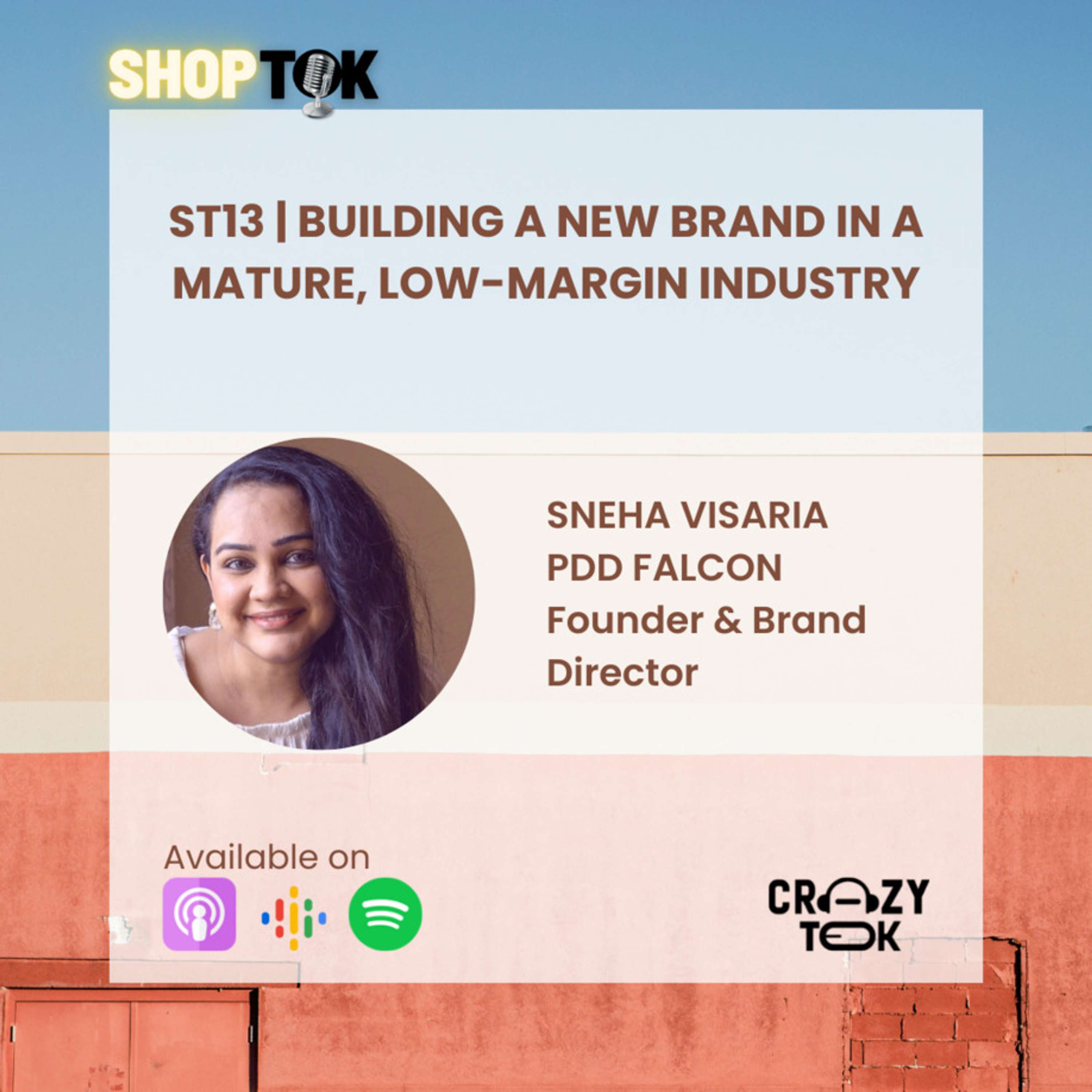 ShopTok: Lessons from Small Business Owners, Entrepreneurs, Freelancers and Creators