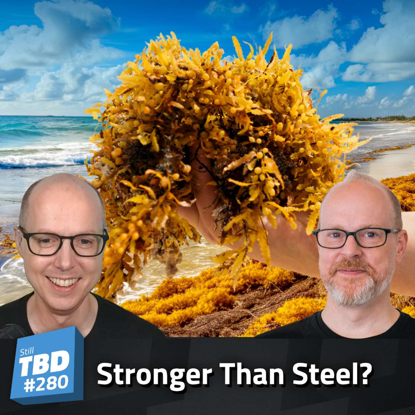 280: Seaweed? More like See Opportunities!