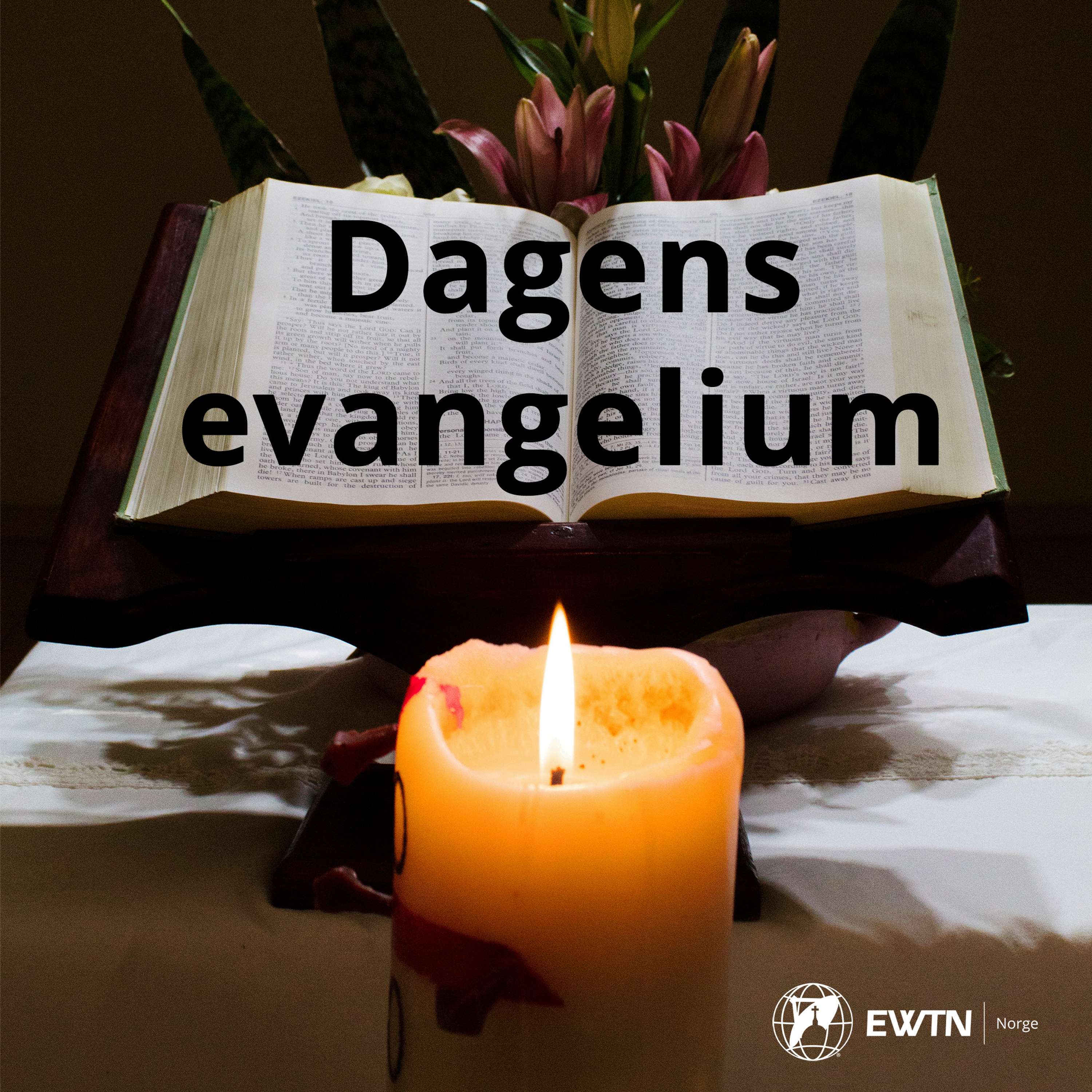 Dagens evangelium med Erika
