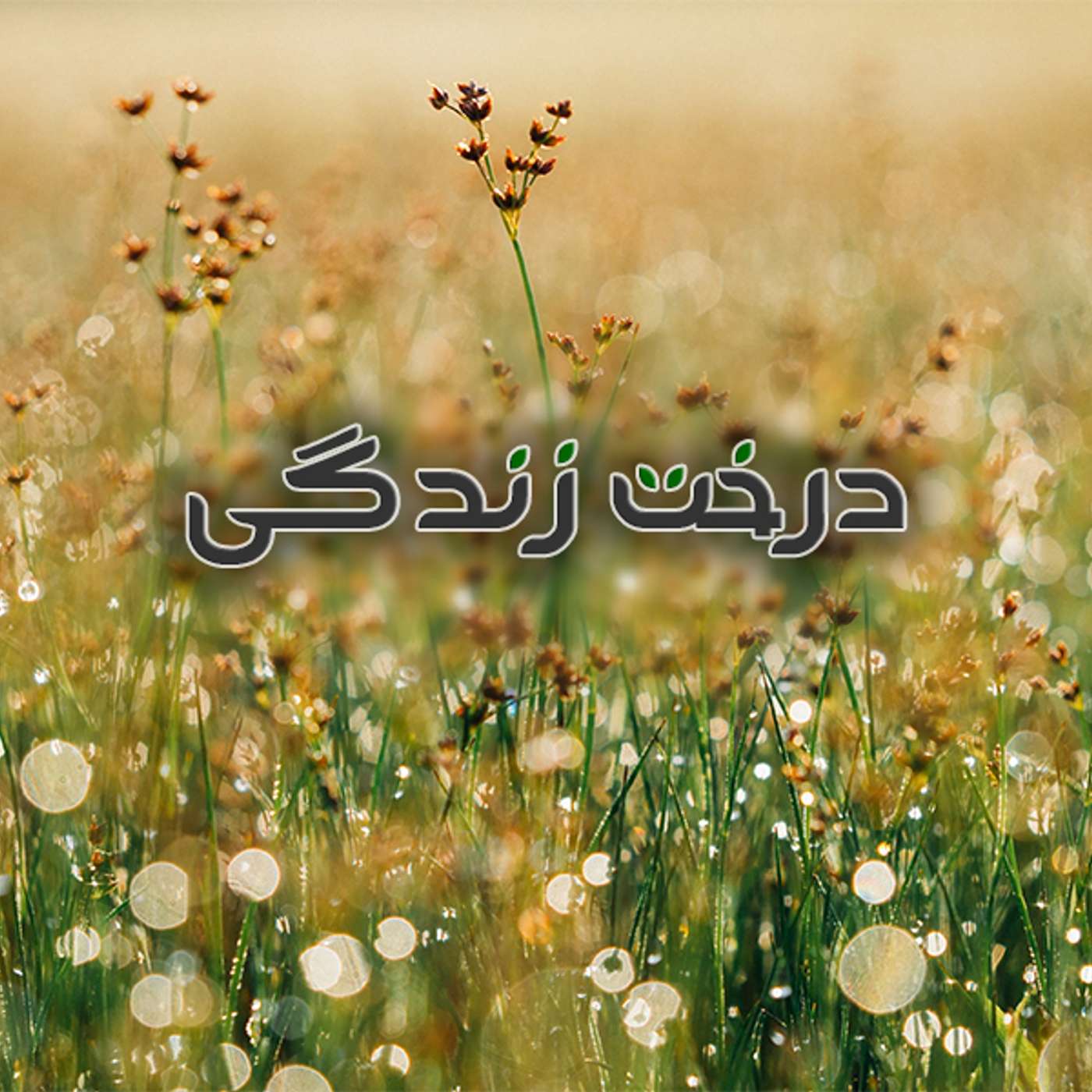 قسمت ۱۱ - از نگاه یک پدر episode artwork