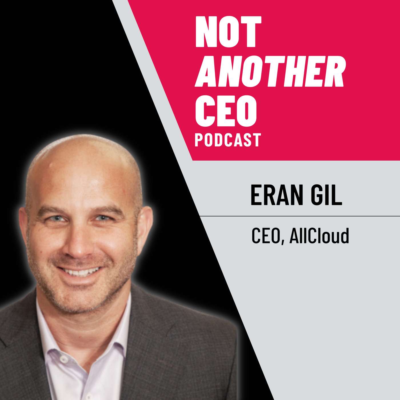 Not Another CEO Podcast
