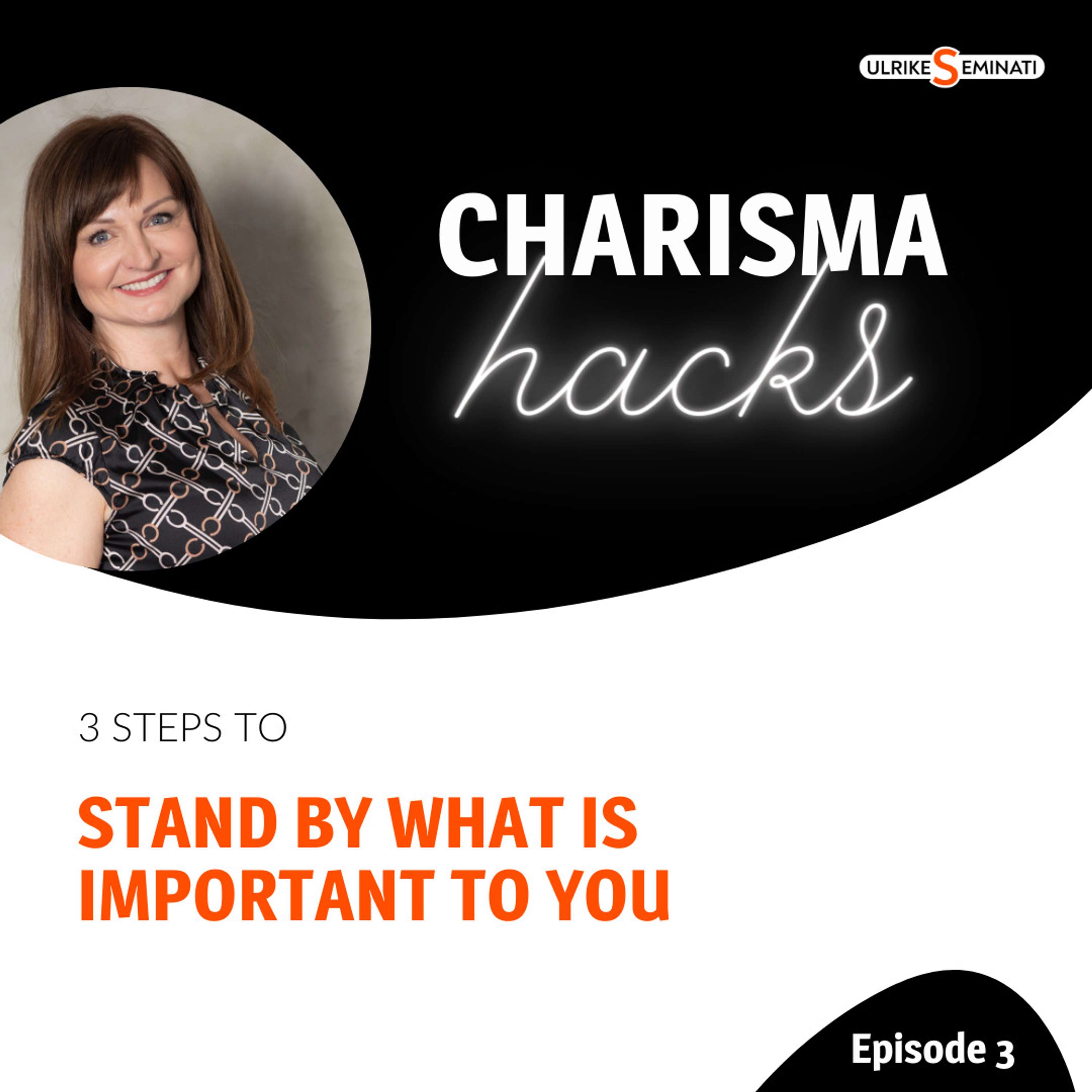 Charisma Hacks - Strategies, Tools & Mindset Training To Release Your Hidden Potential