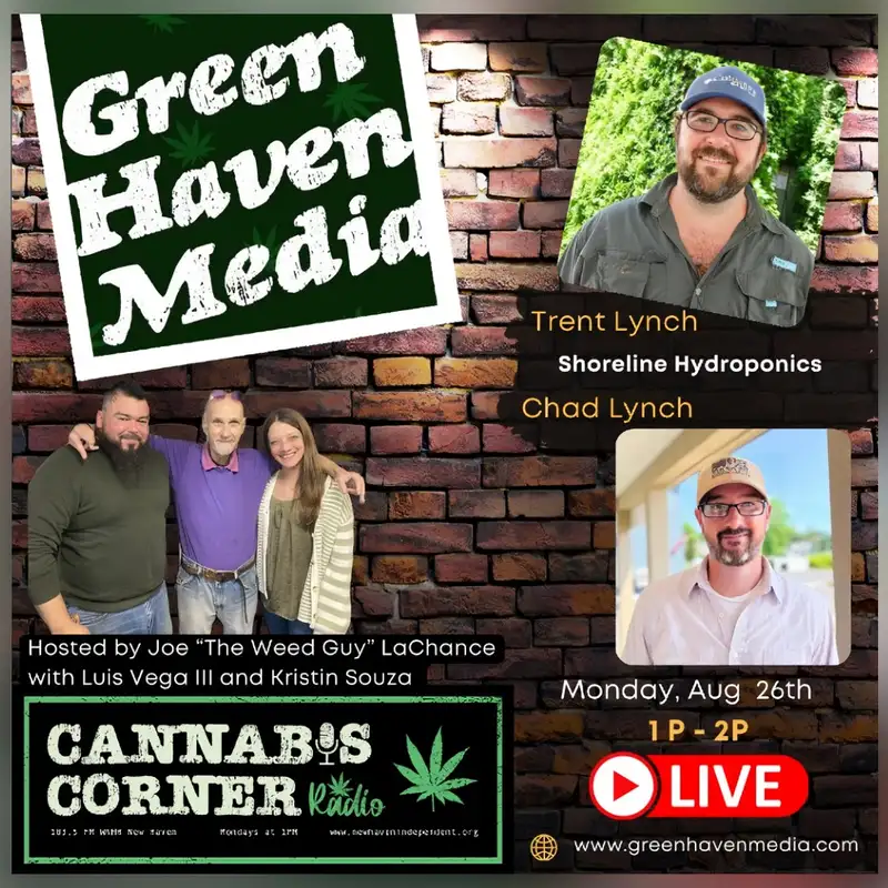 Cannabis Corner Radio: Aug 26, 2024