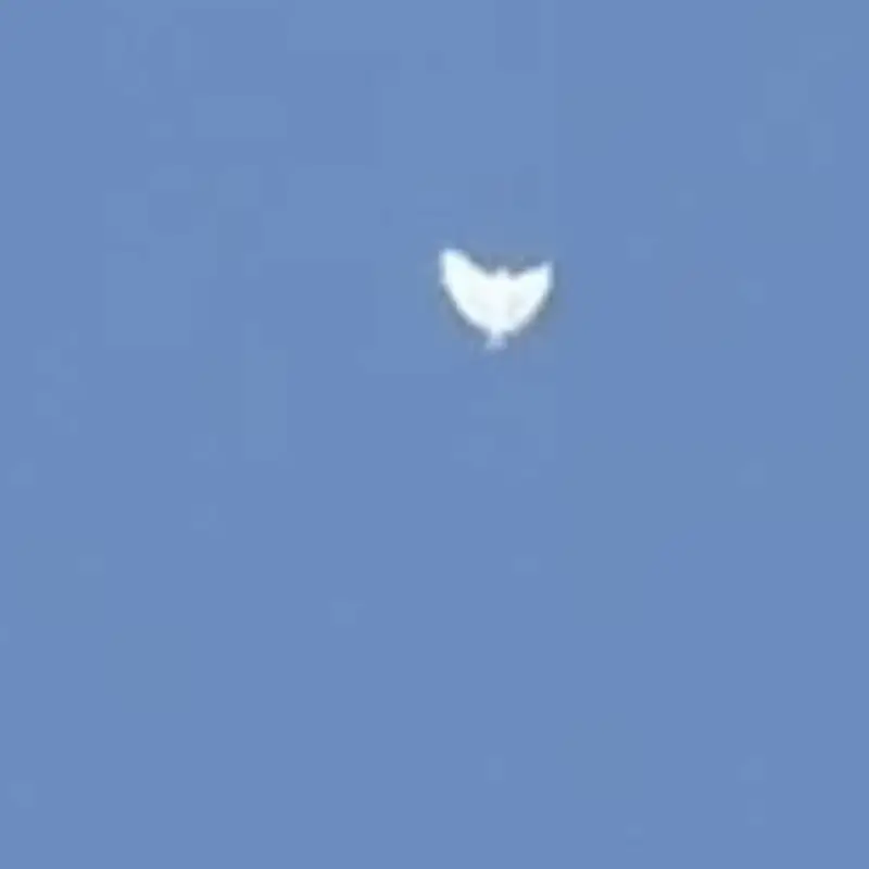 What is this!