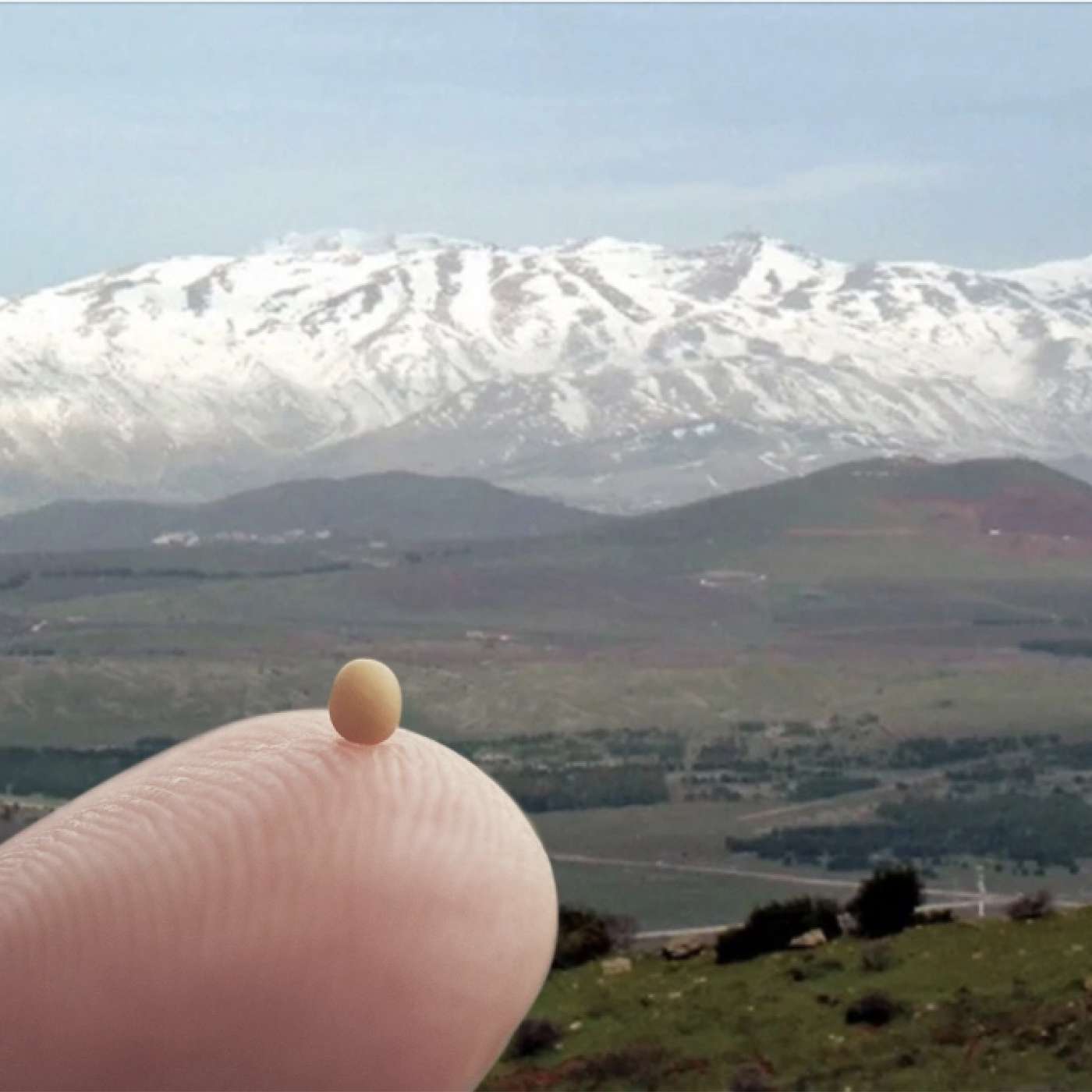 How to Move a Mountain with a Mustard Seed How to Move a Mountain with a Mustard Seed