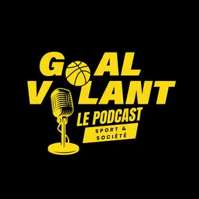 Goal-Volant