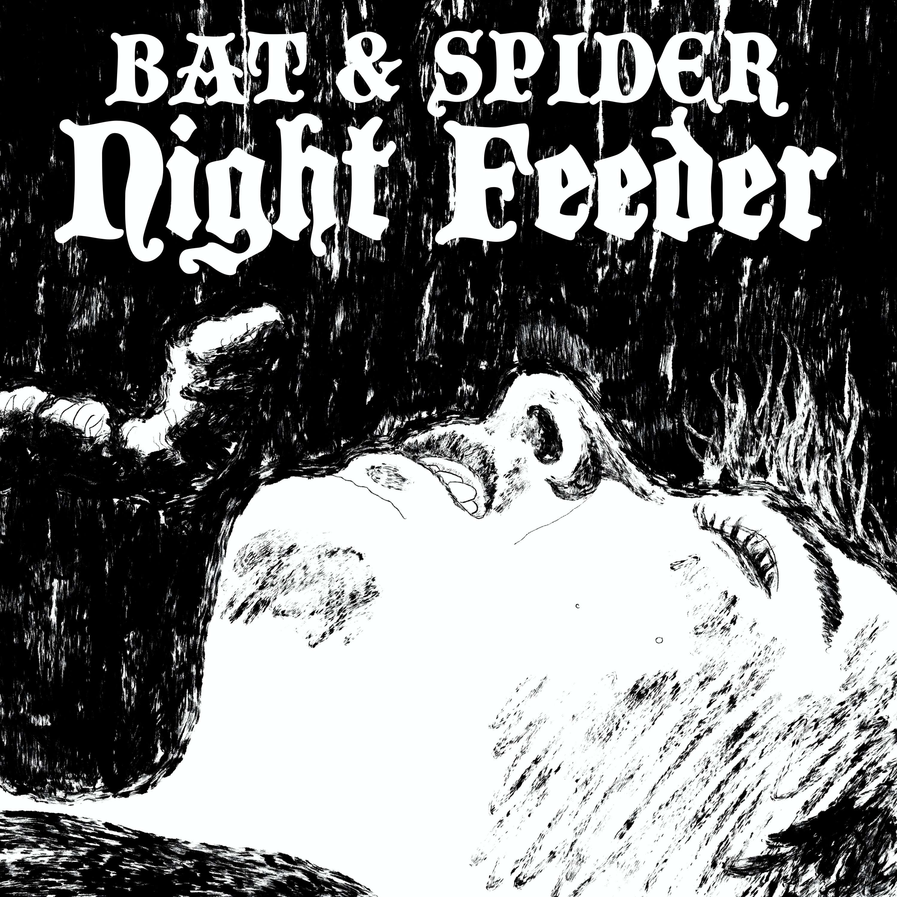 BAT AND SPIDER
