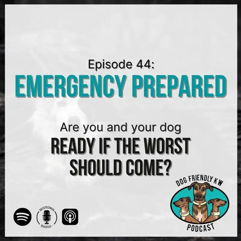 EMERGENCY Prepared: Are You and Your Dog Ready if the WORST Should Come? 