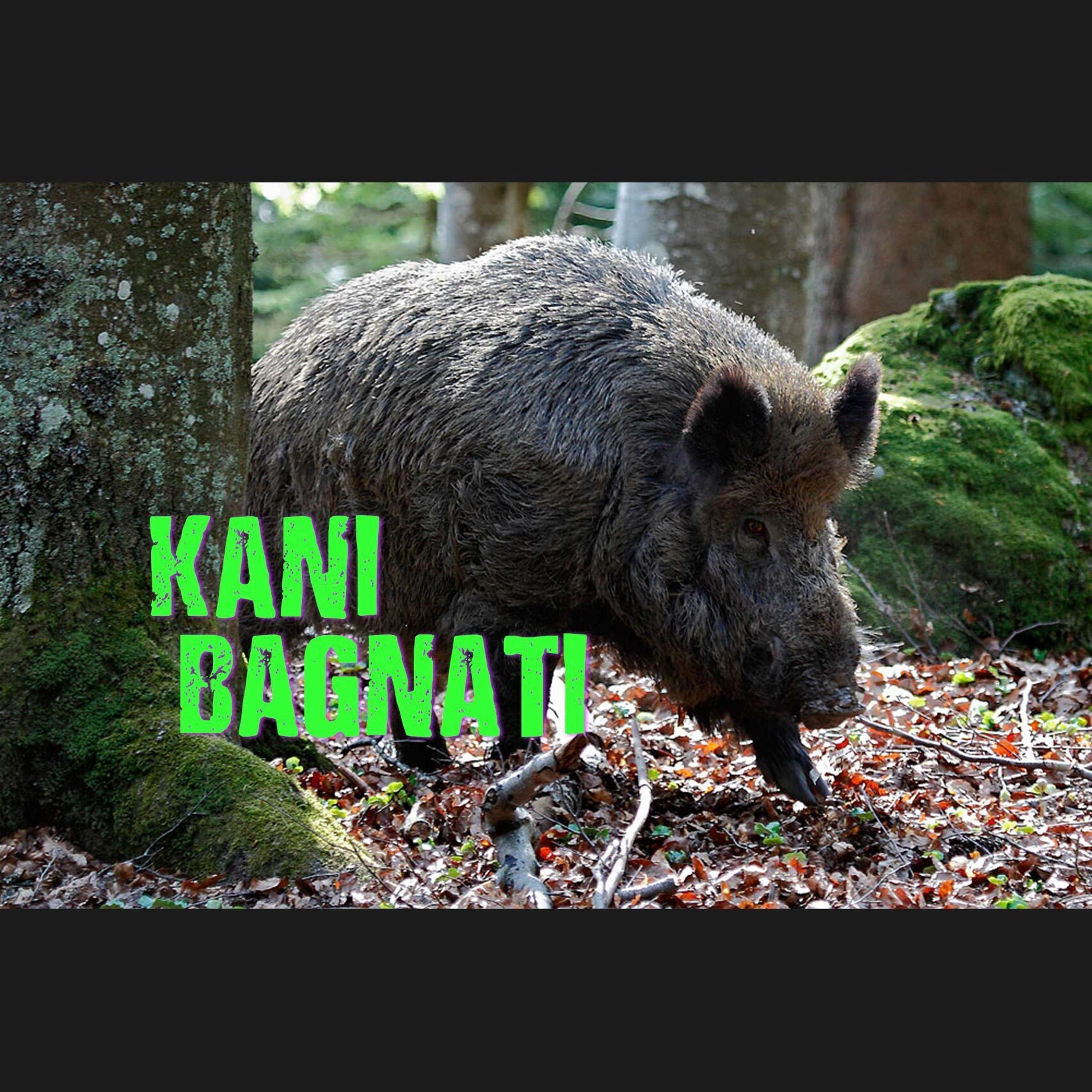 Kani Bagnati
