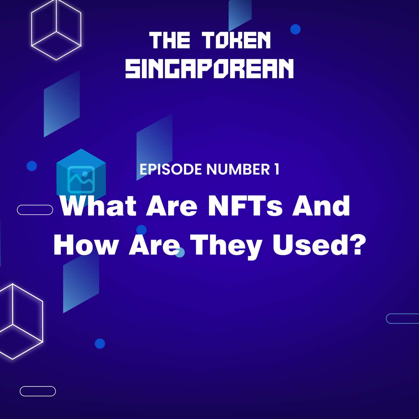 TS1 | What are NFTs and How Are They Used?