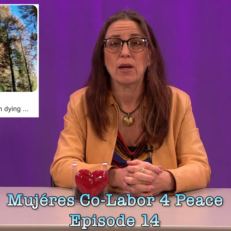 MC4P ep 14: Cultivating Joy in Earth (day) Actions, EV History and global CO2 Weight