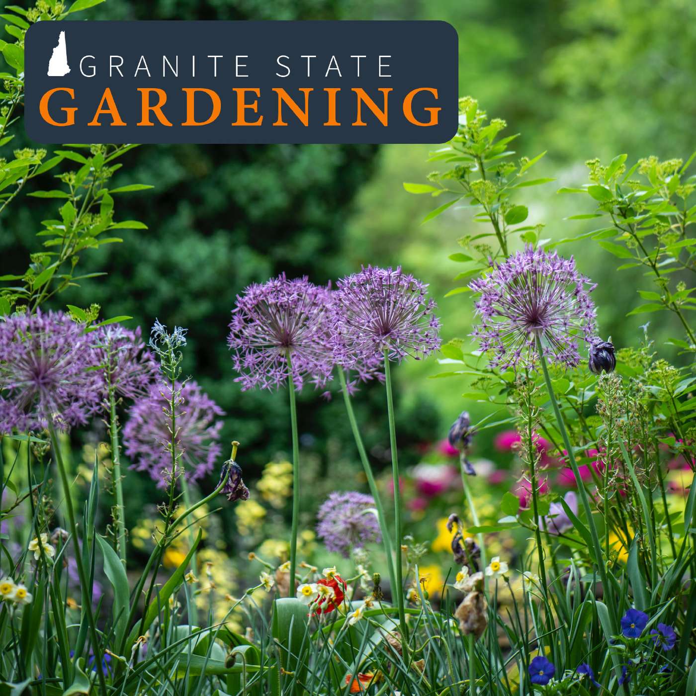 Annual and Perennial Blooms, Cut Flower Gardens, and Foam Flower