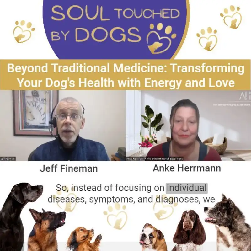 Jeff Feinman - Transforming Your Dog's Health with Energy and Love