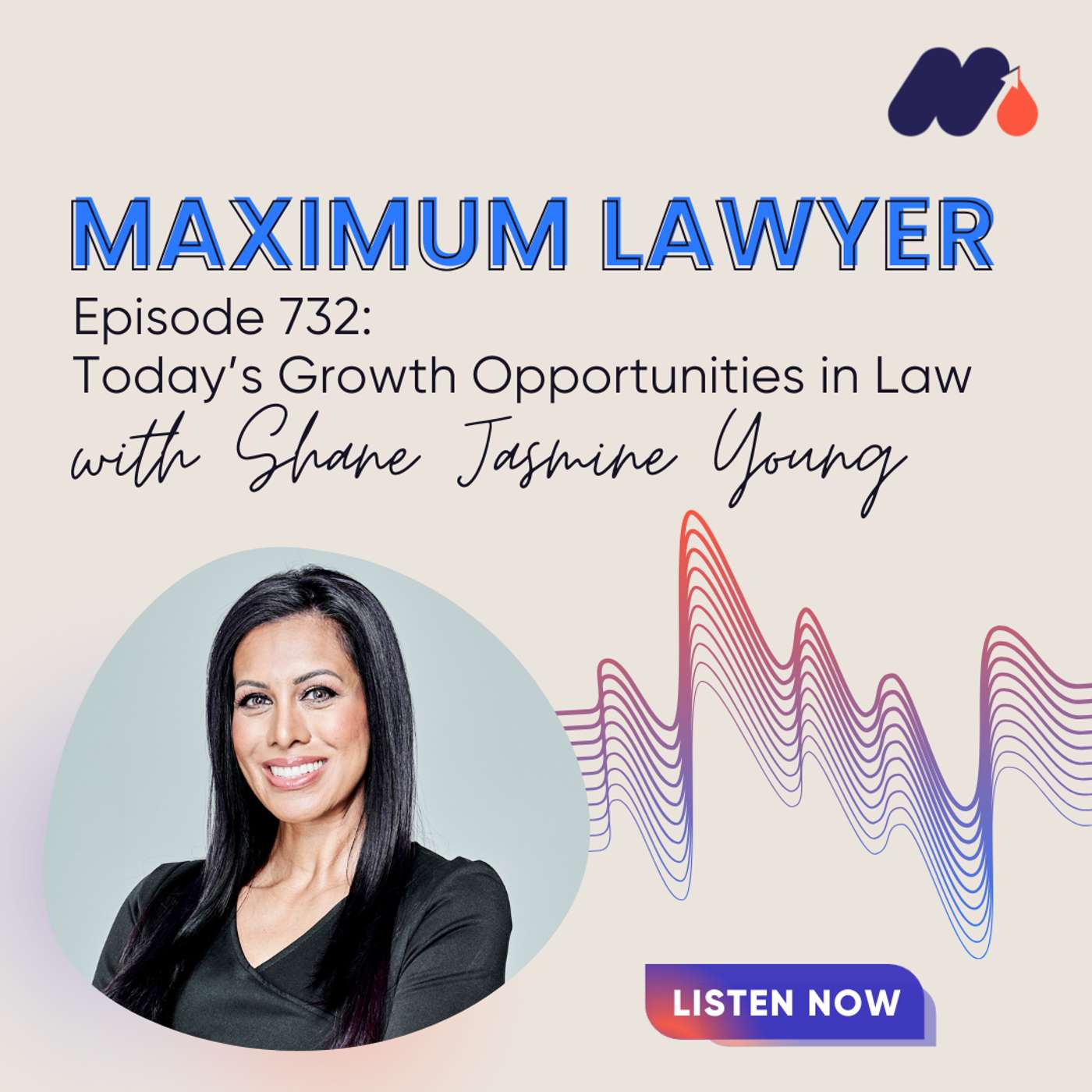 Maximum Lawyer