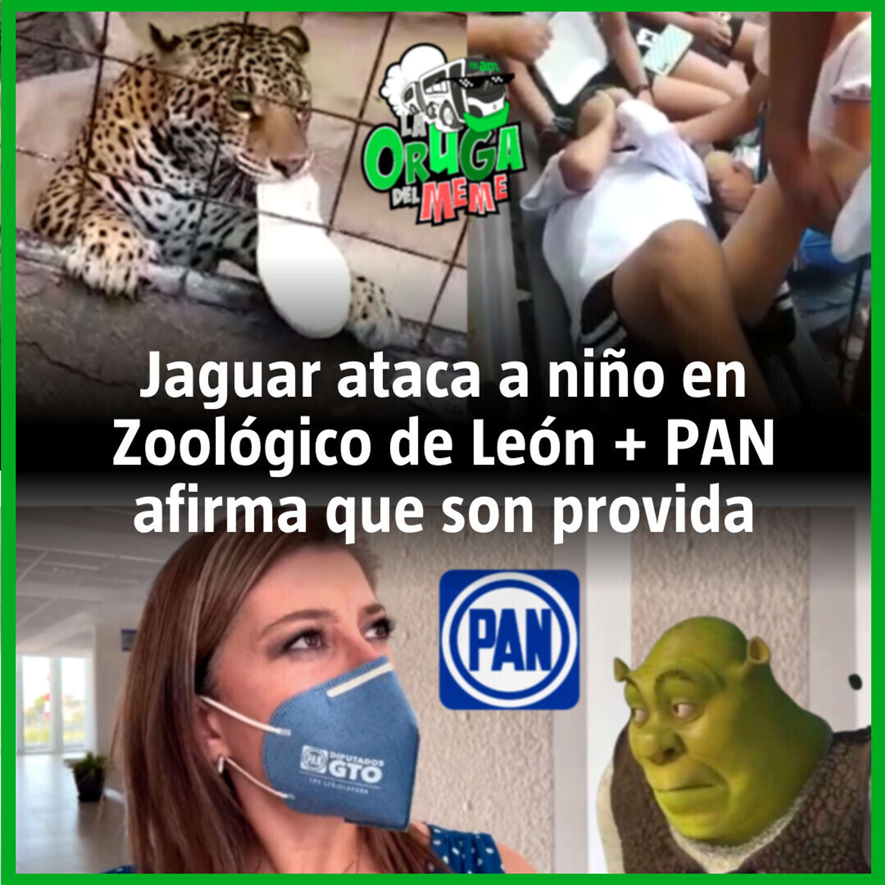 La Oruga del Meme