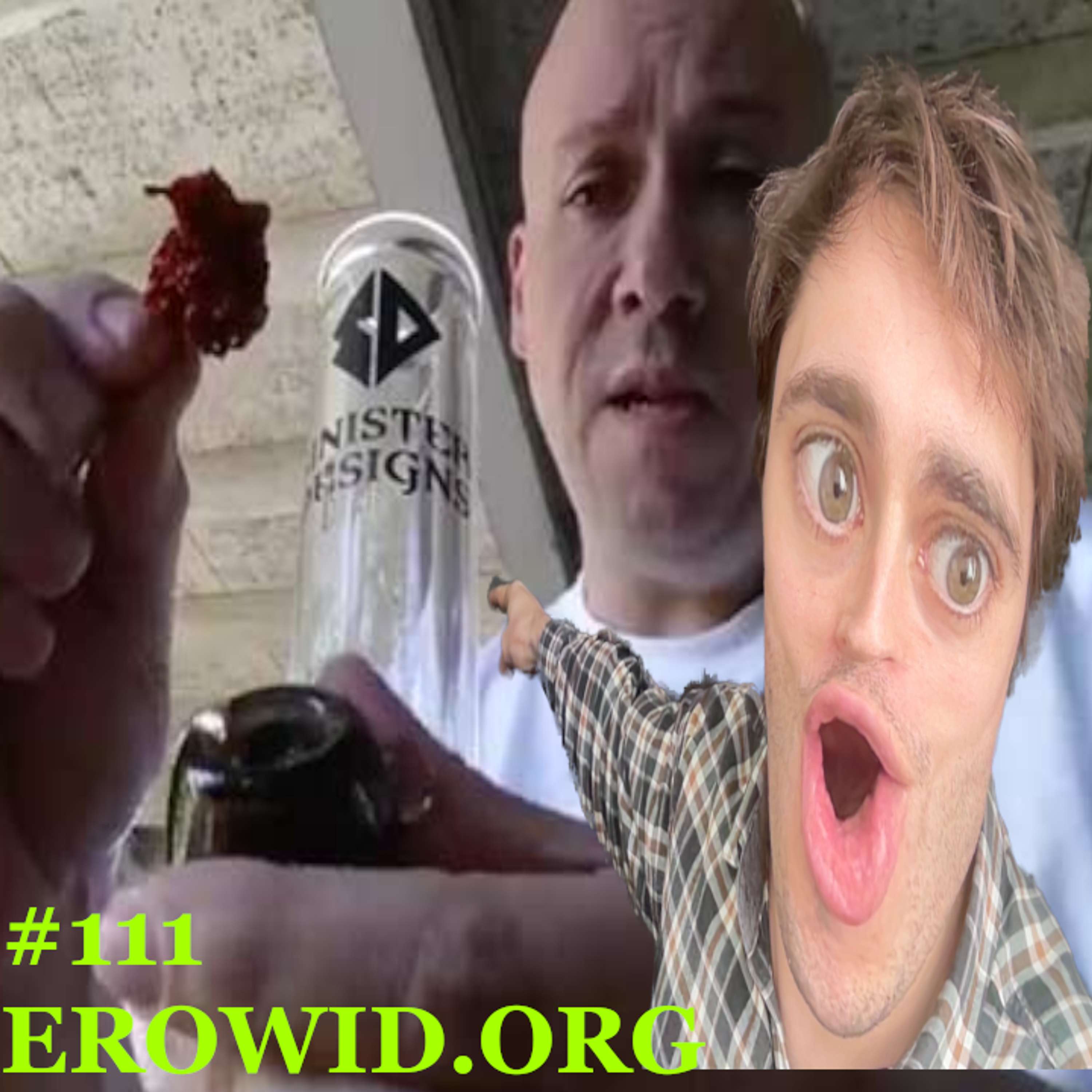 #111 Erowid.org