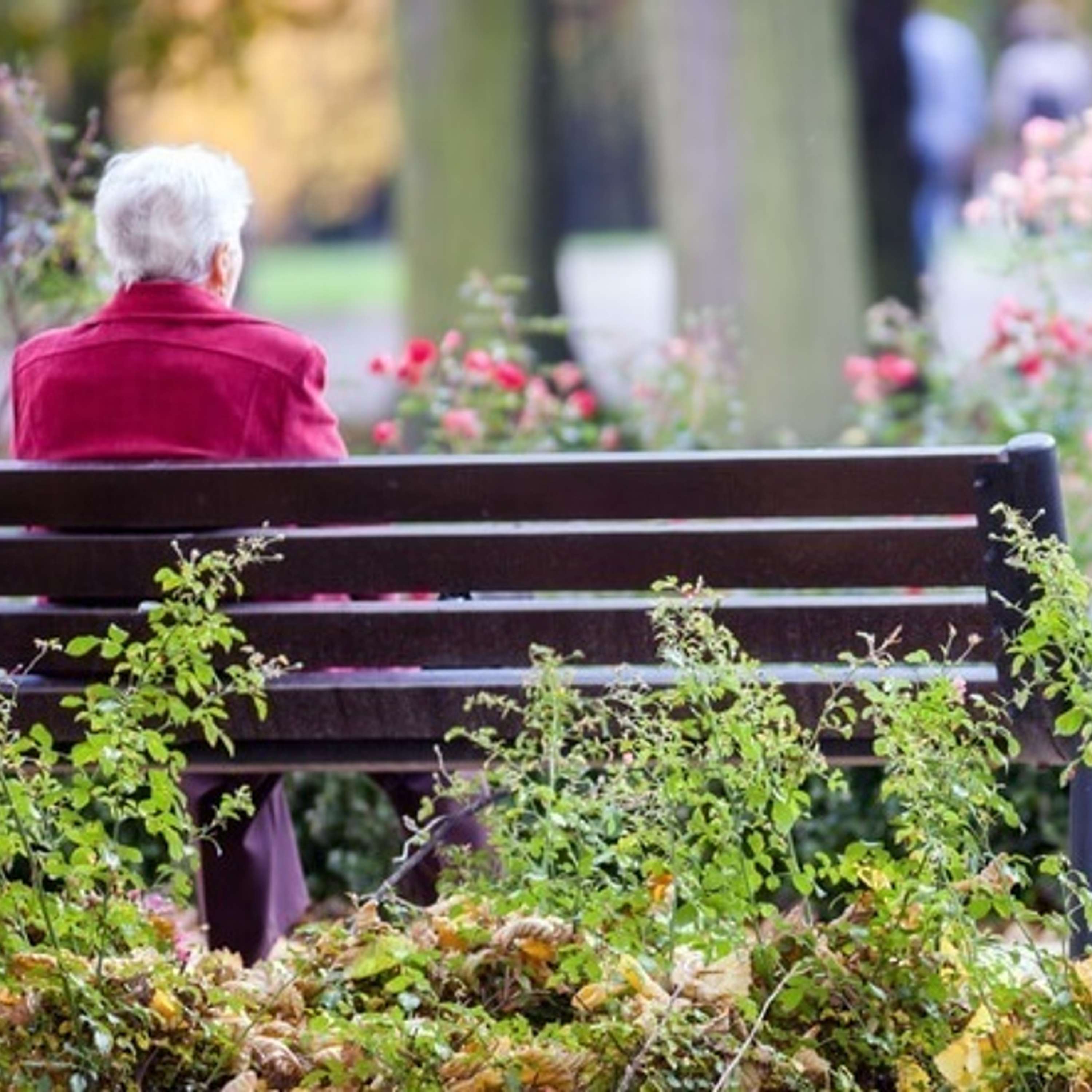 Loneliness and its impact on the mental health of the older person