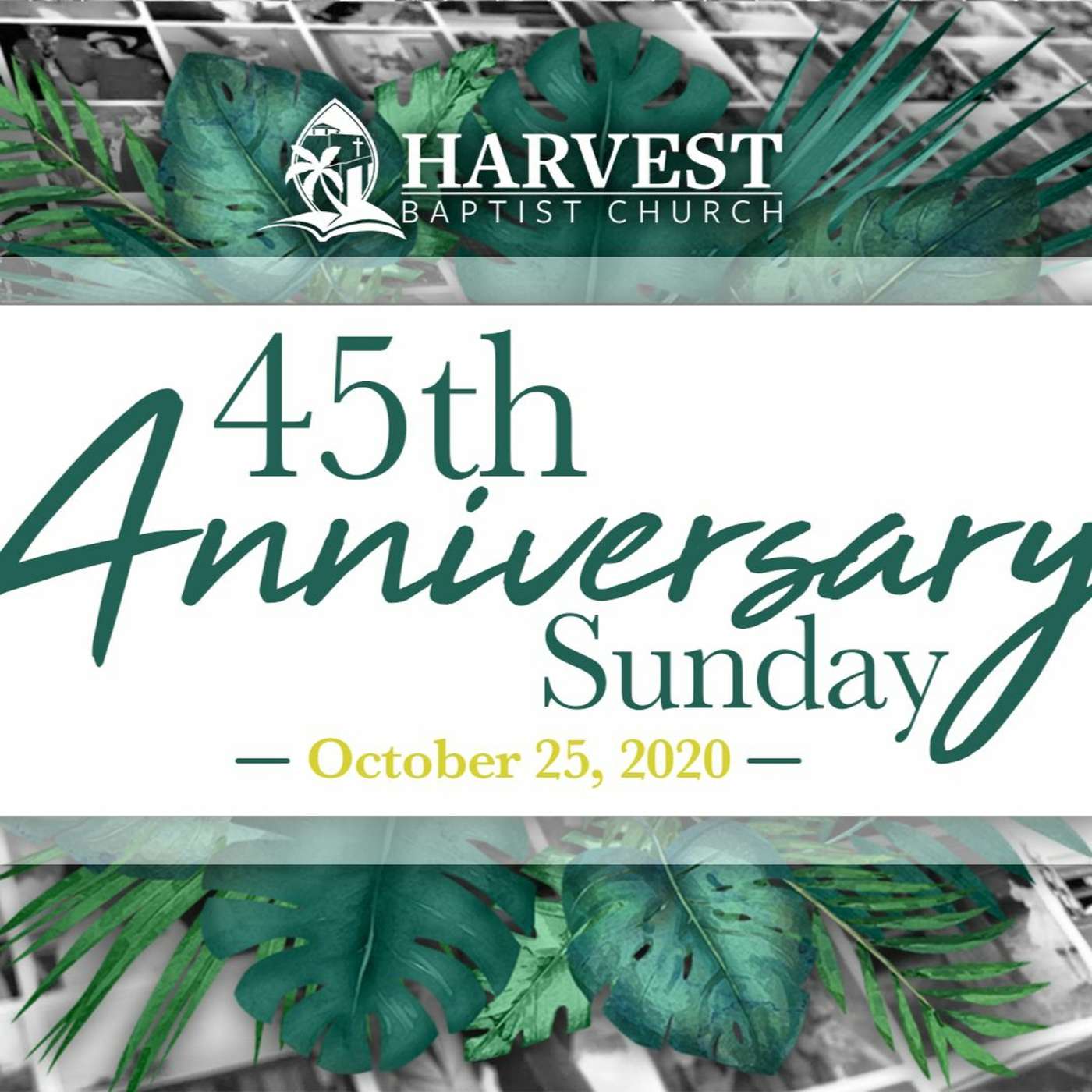 Harvest Time