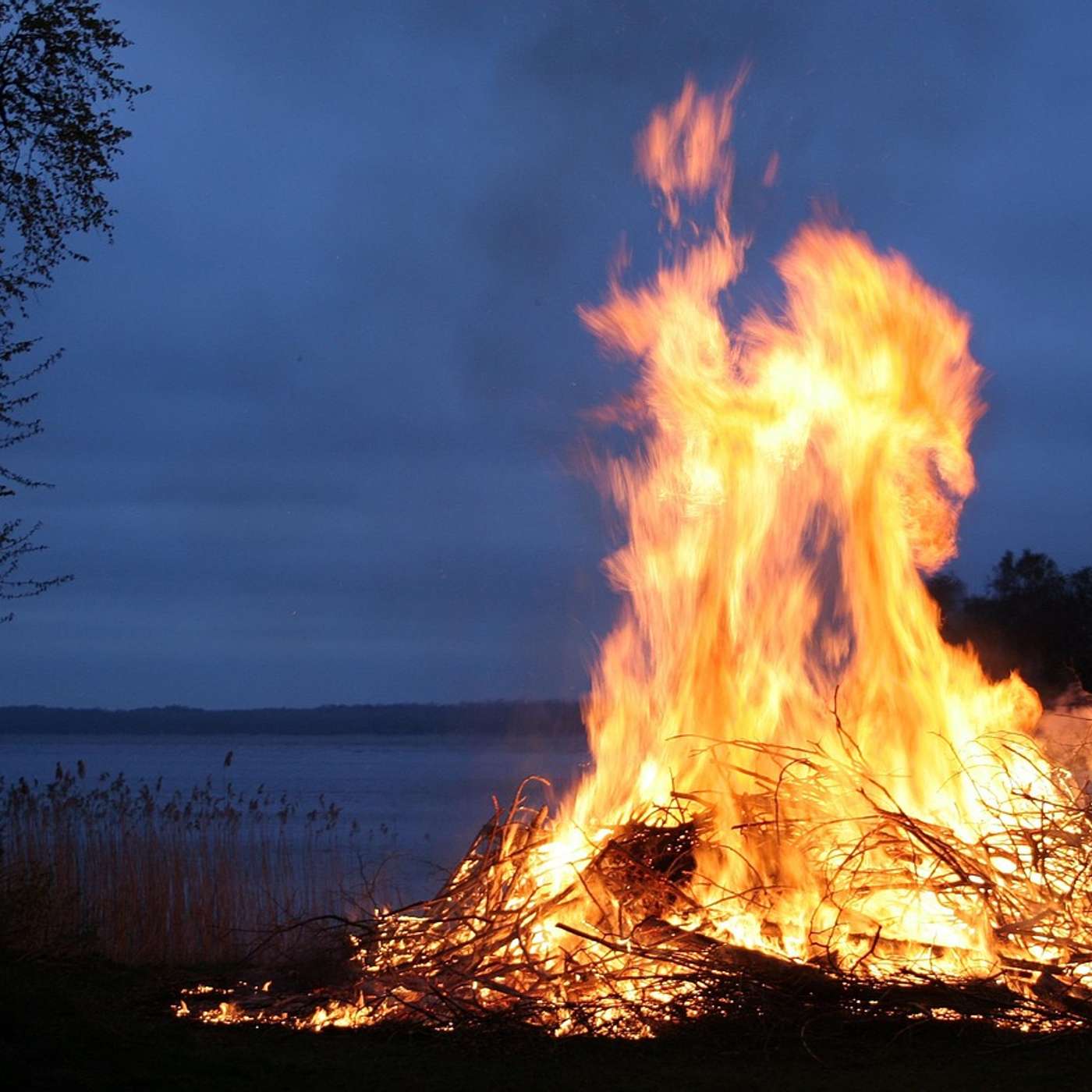 Forest Fires