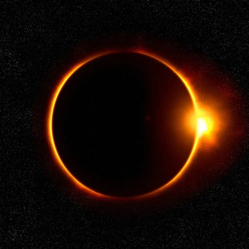 Are Plants Effected by an Eclipse?