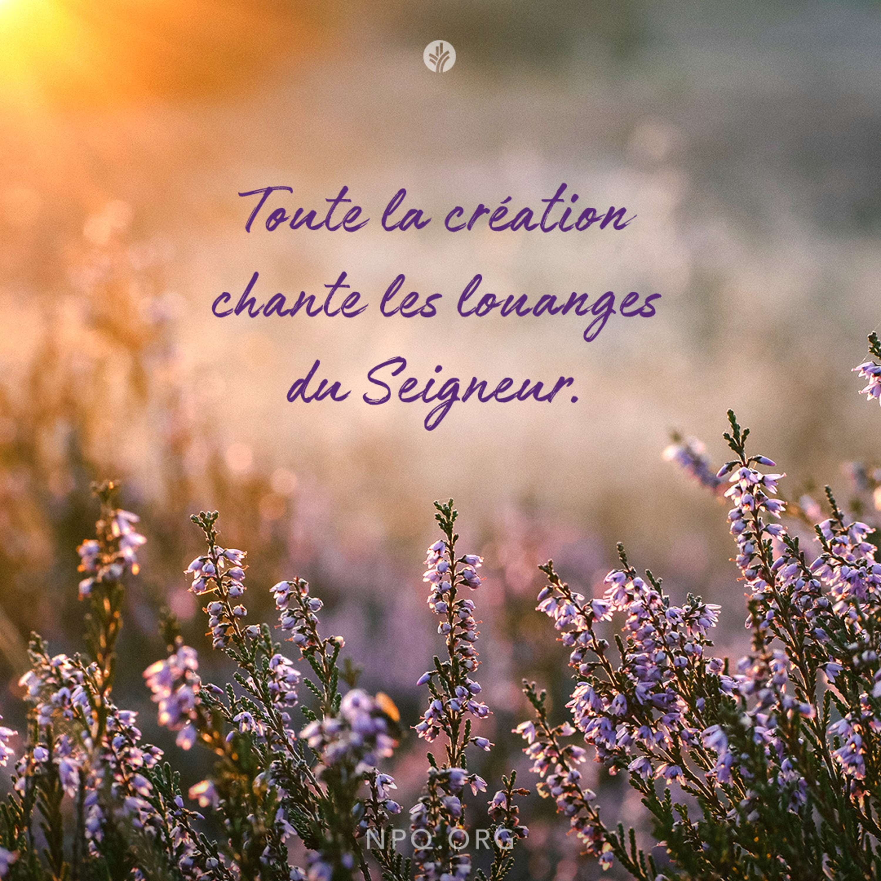 Notre Pain Quotidien podcast