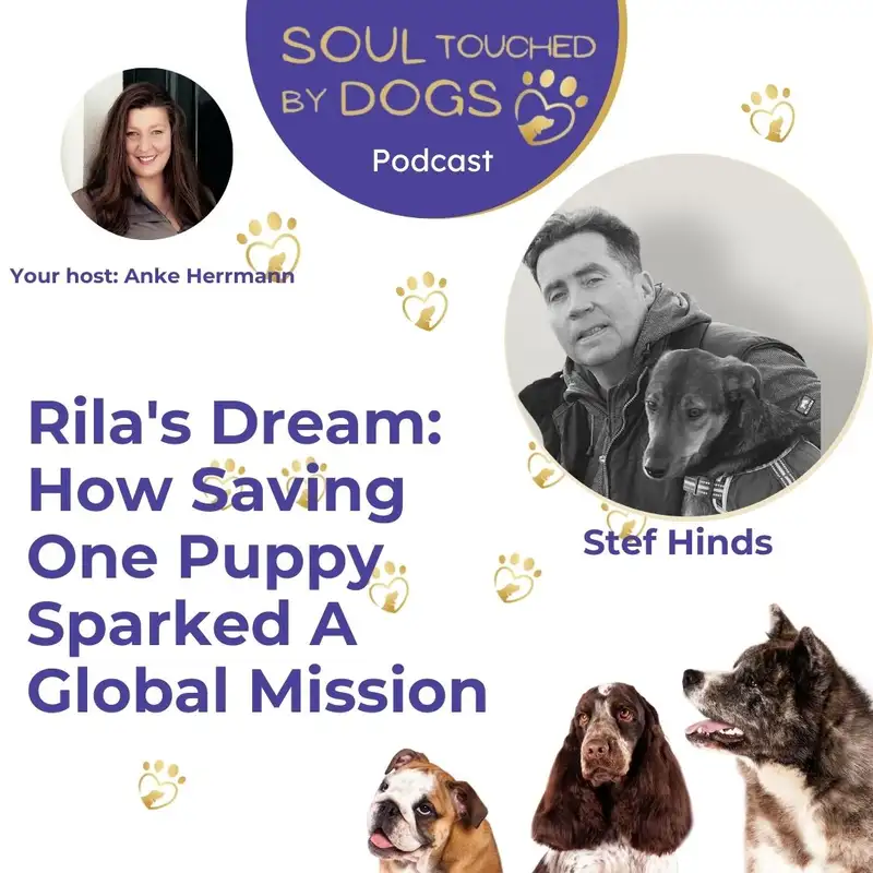 Stef Hinds - Rila's Dream: How Saving One Puppy Sparked A Global Mission