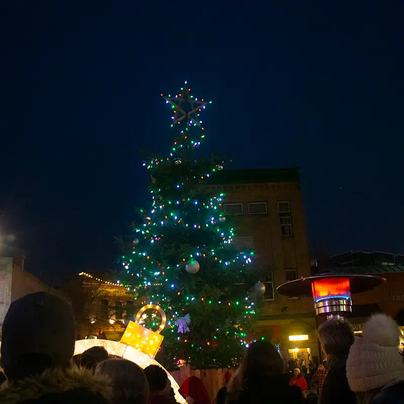 Winterfest shows that downtown Nanaimo’s heart is still beating