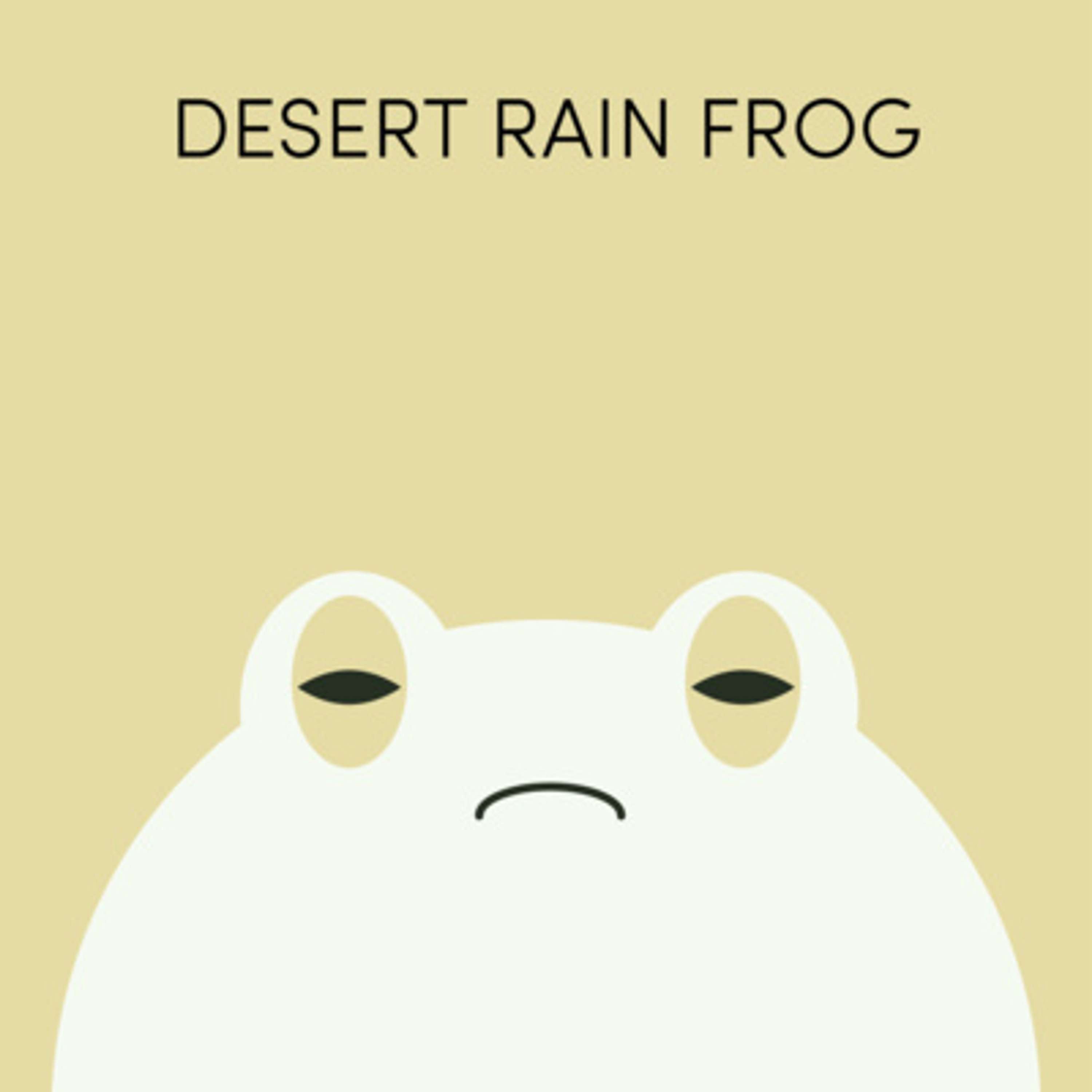 Desert Rain Frog | Week of August 30th