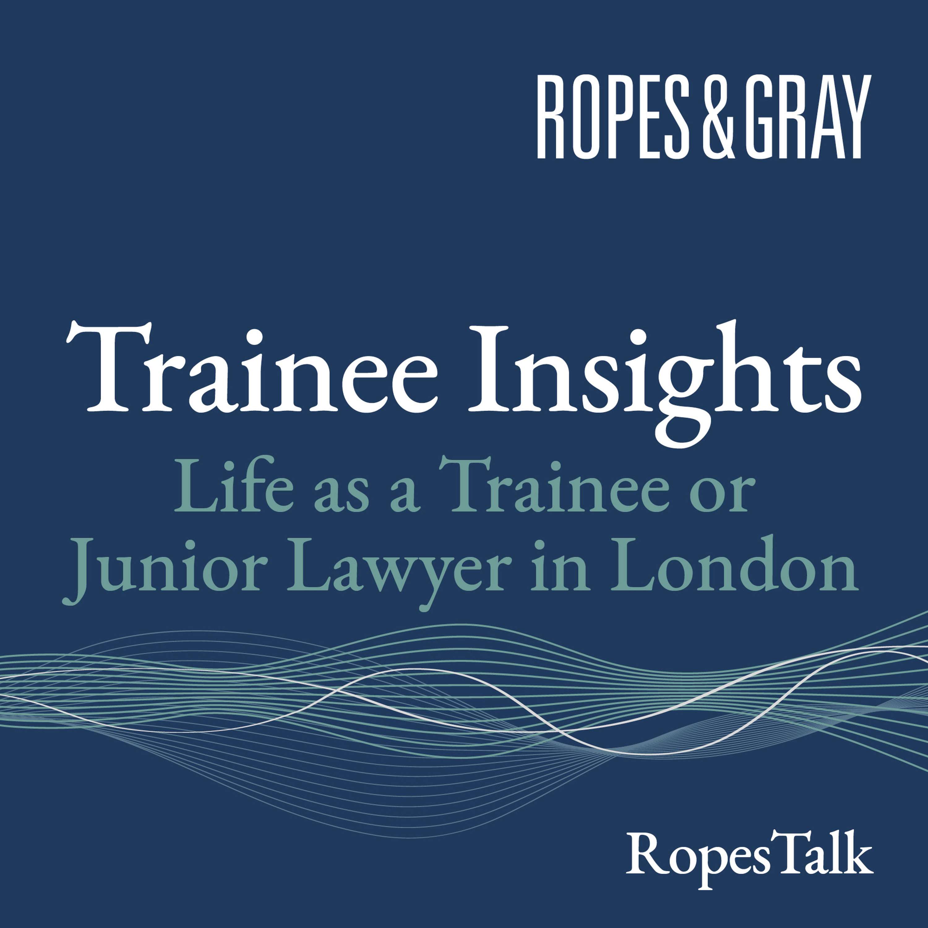 Trainee Insights