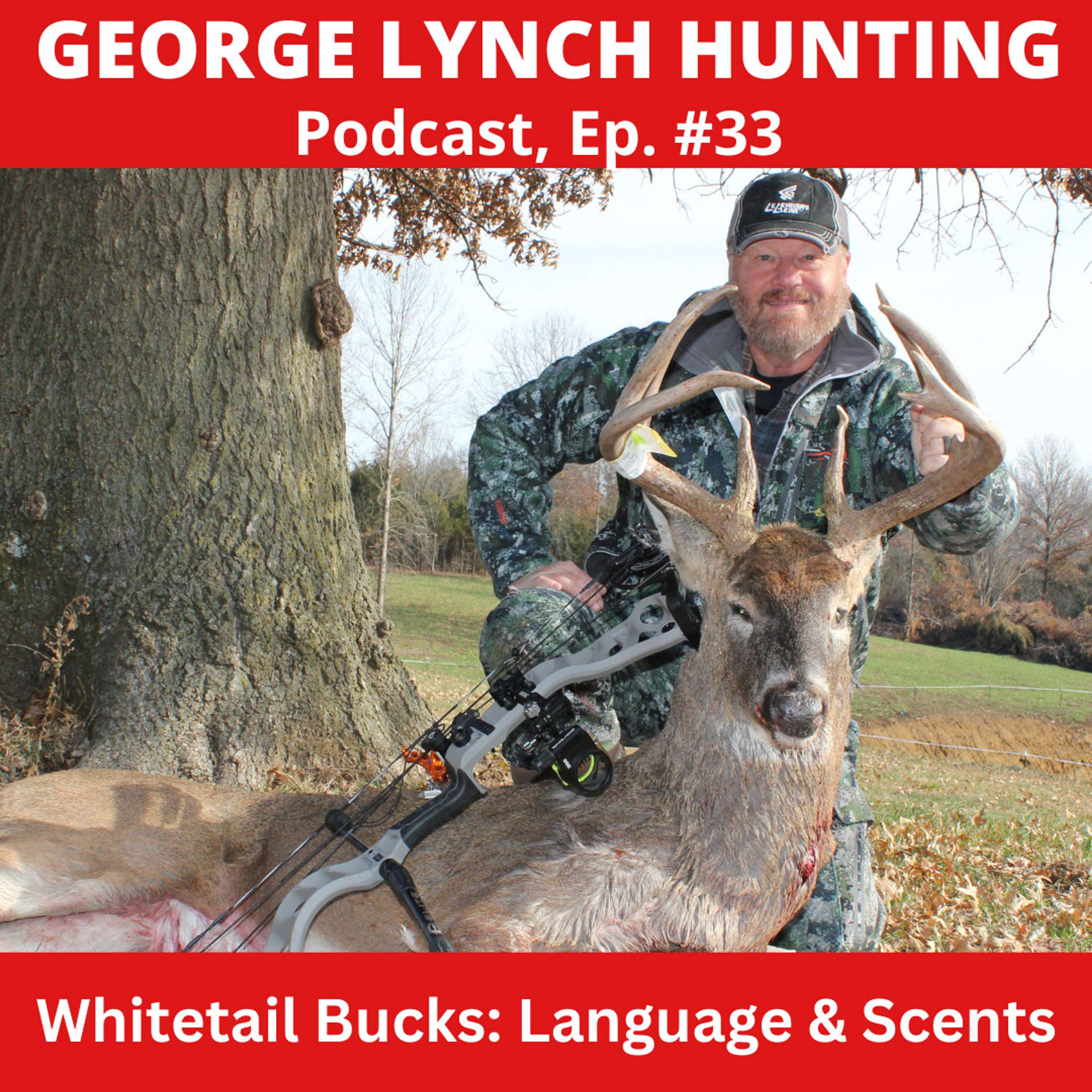 WHITETAIL BUCKS:  LANGUAGE & SCENTS by GEORGE LYNCH