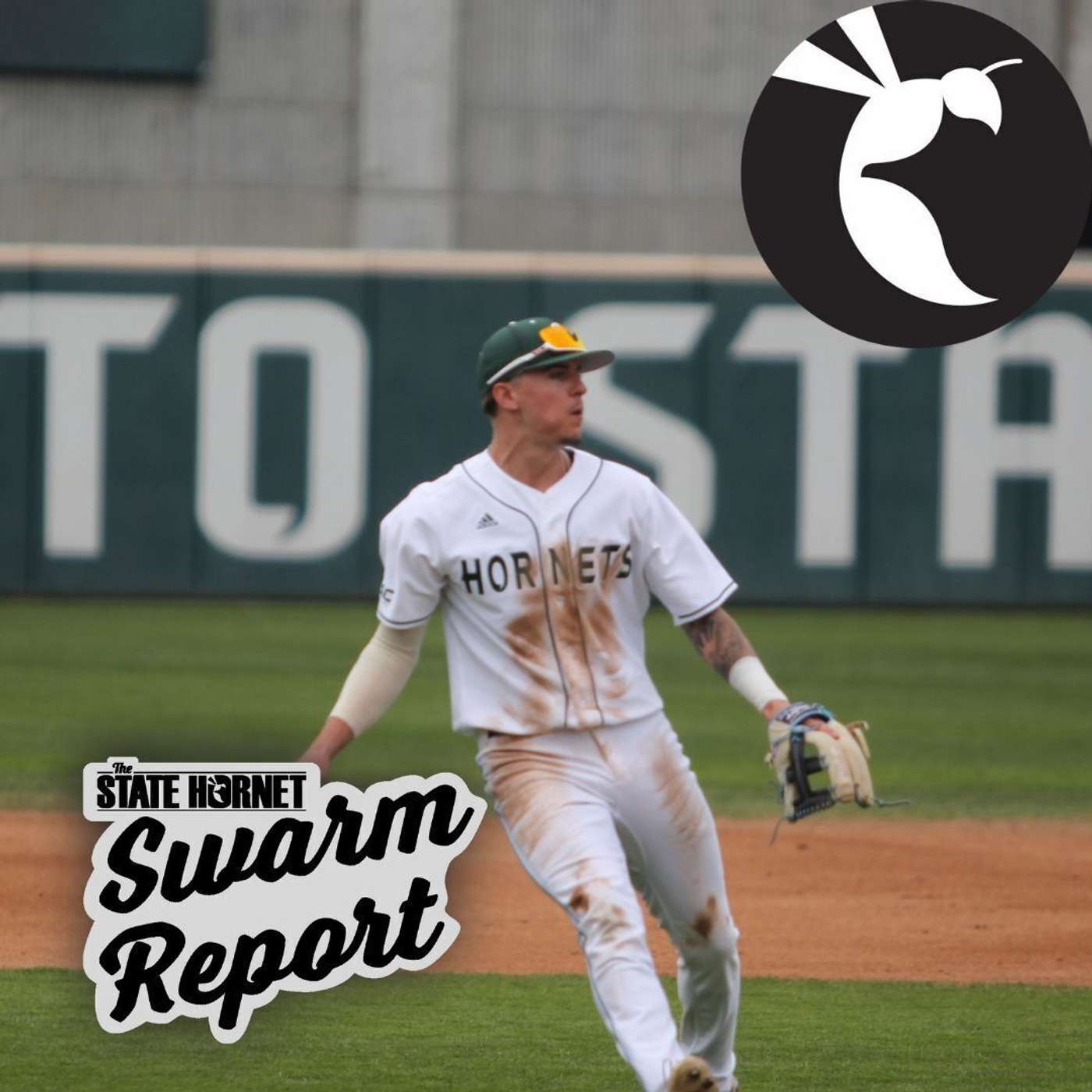 Swarm Report Week 7: Checking in with softball and baseball Swarm Report Week 7: Checking in with softball and baseball