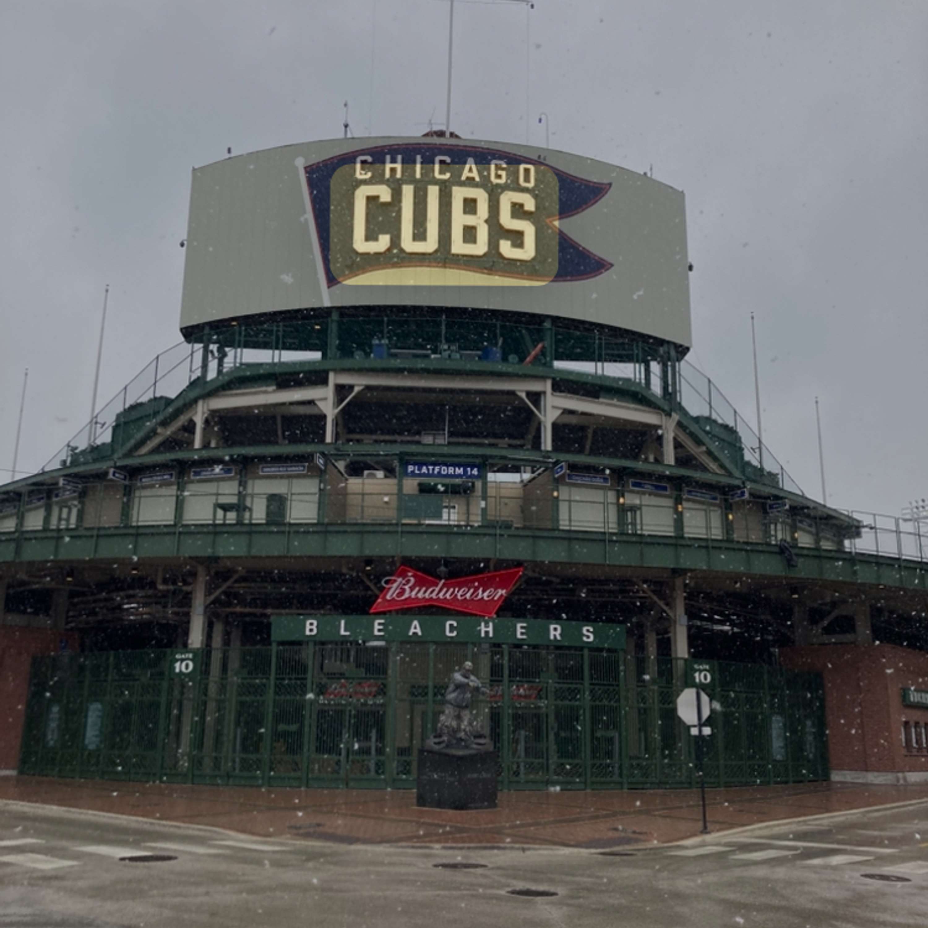 Cubs Local