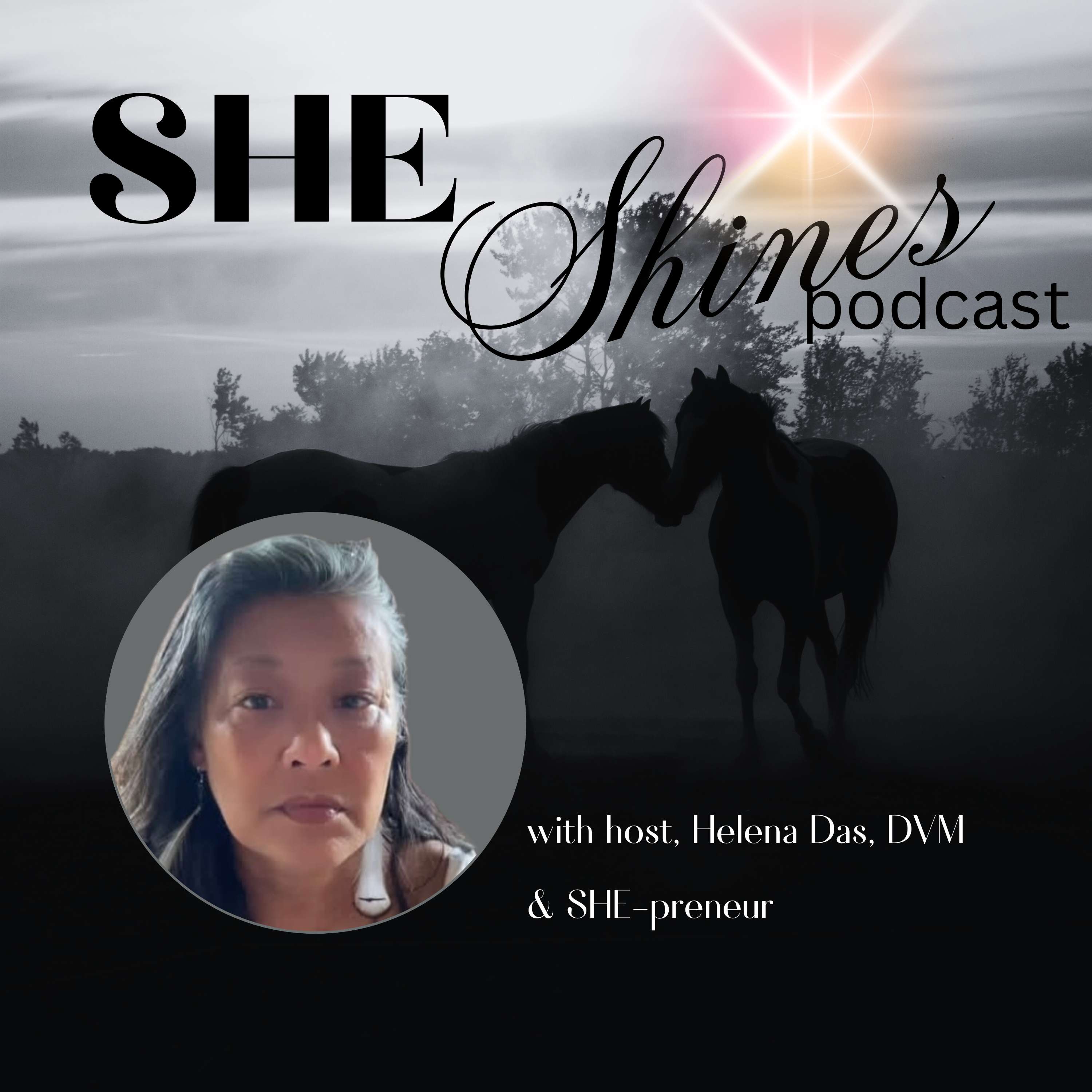 SHE Shines:  Helping \'Dark Horse-preneurs\' Unlock their Light & Get Paid to Shine