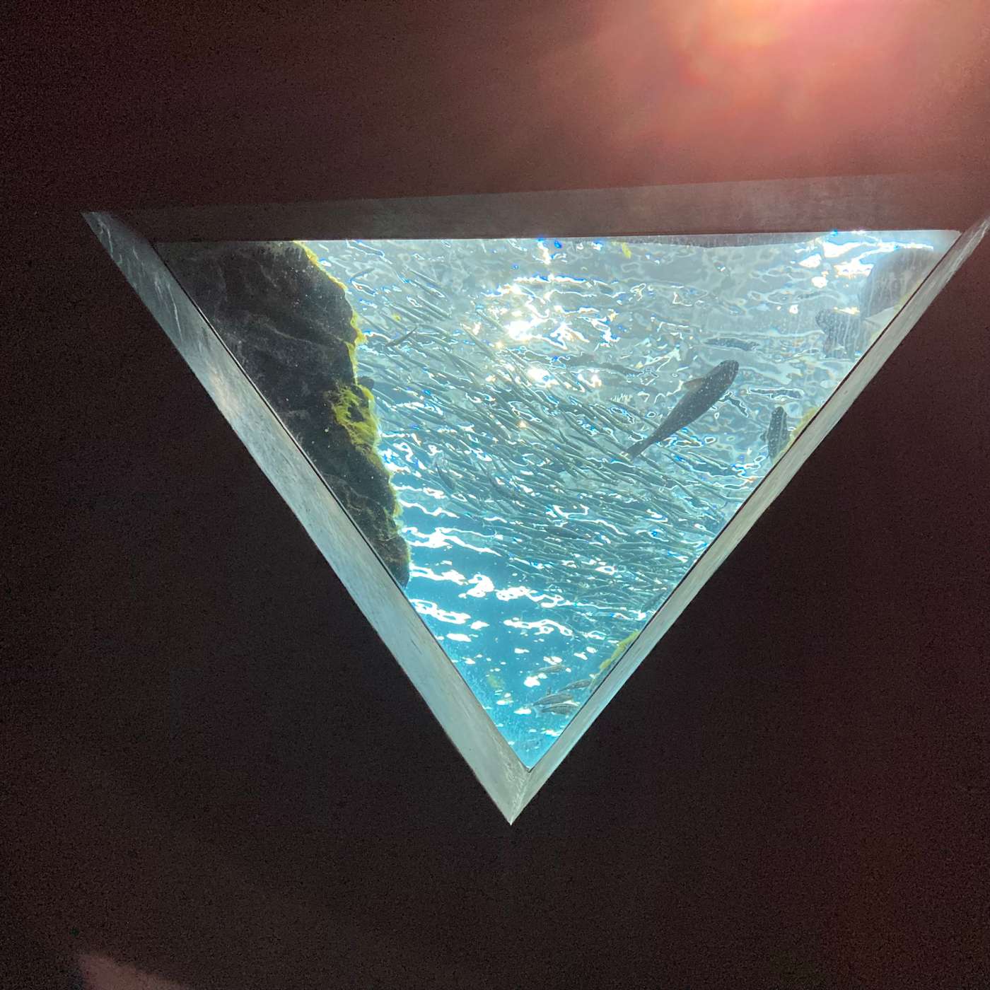Undersea Communion